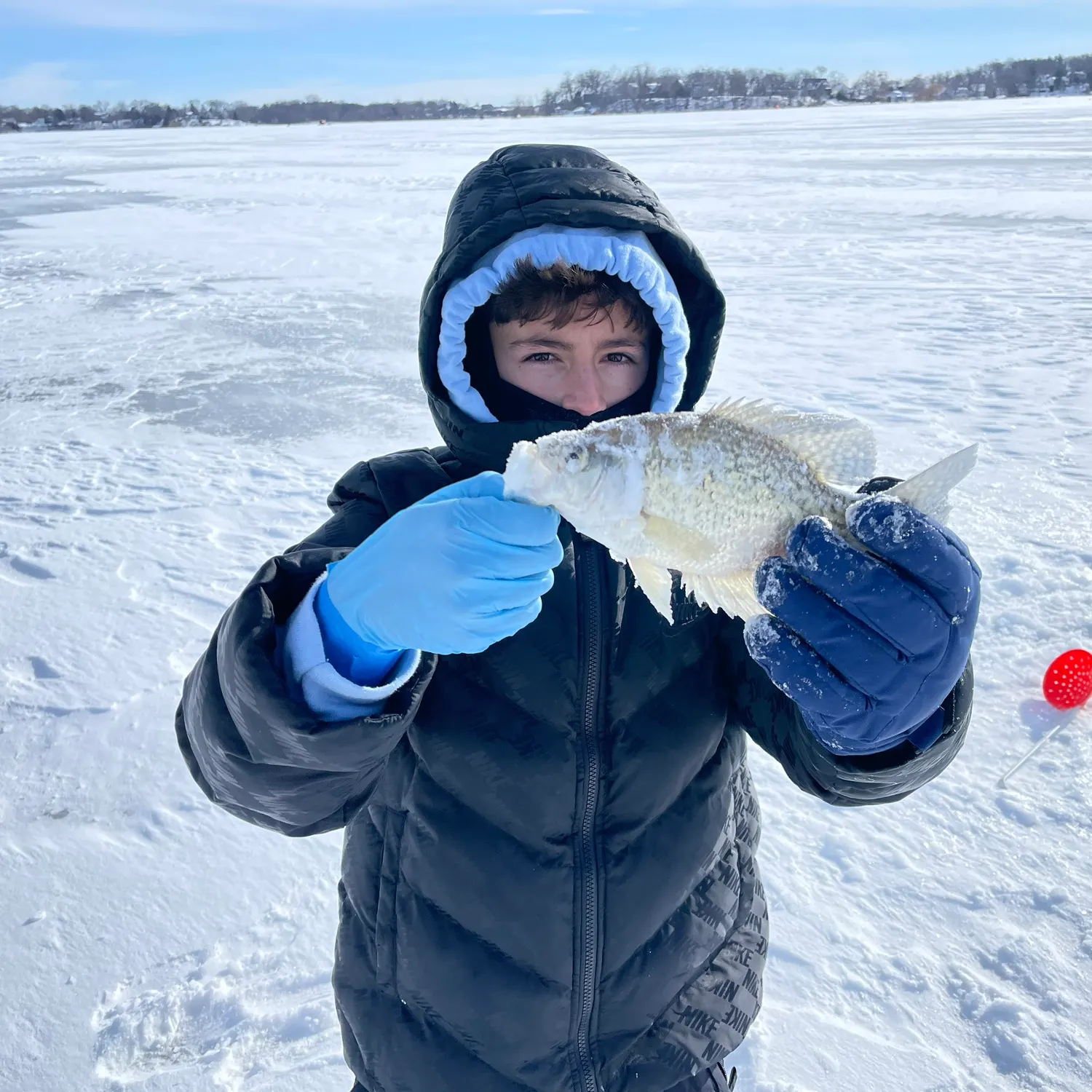 The most recent Black crappie catches on Fishbrain