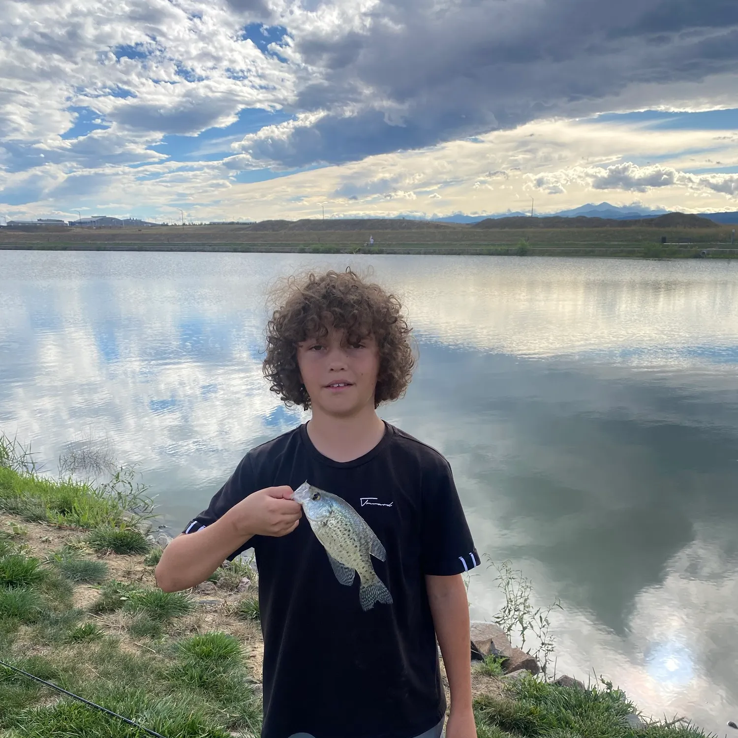 Black crappie caught on Fishbrain