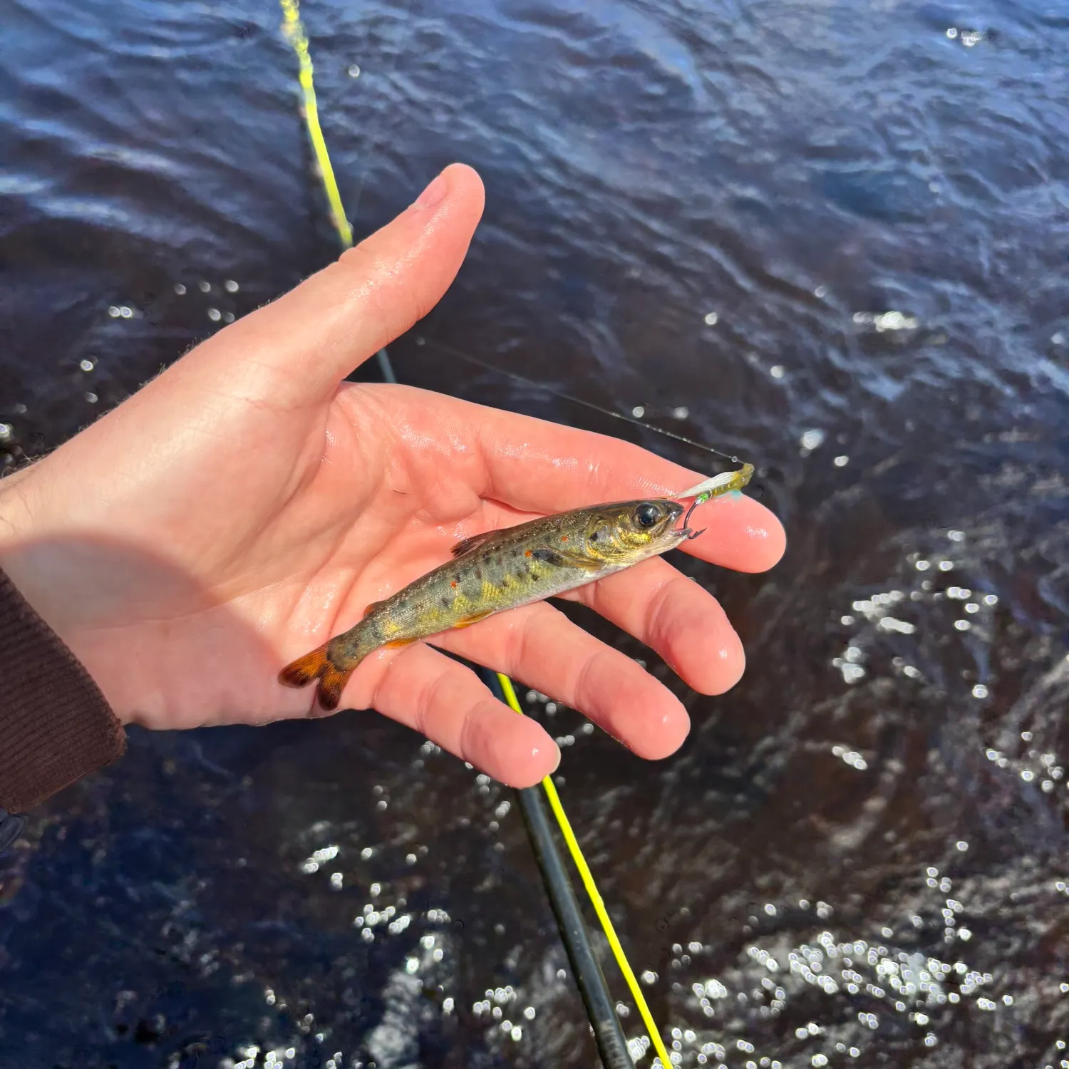 most liked catch image