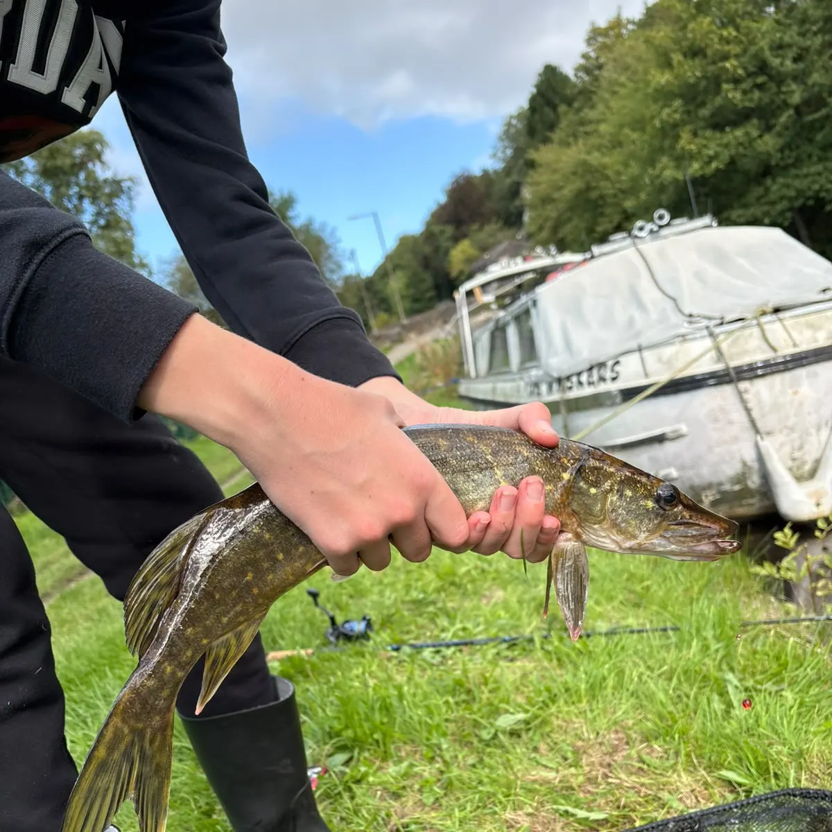 Northern pike caught on Fishbrain
