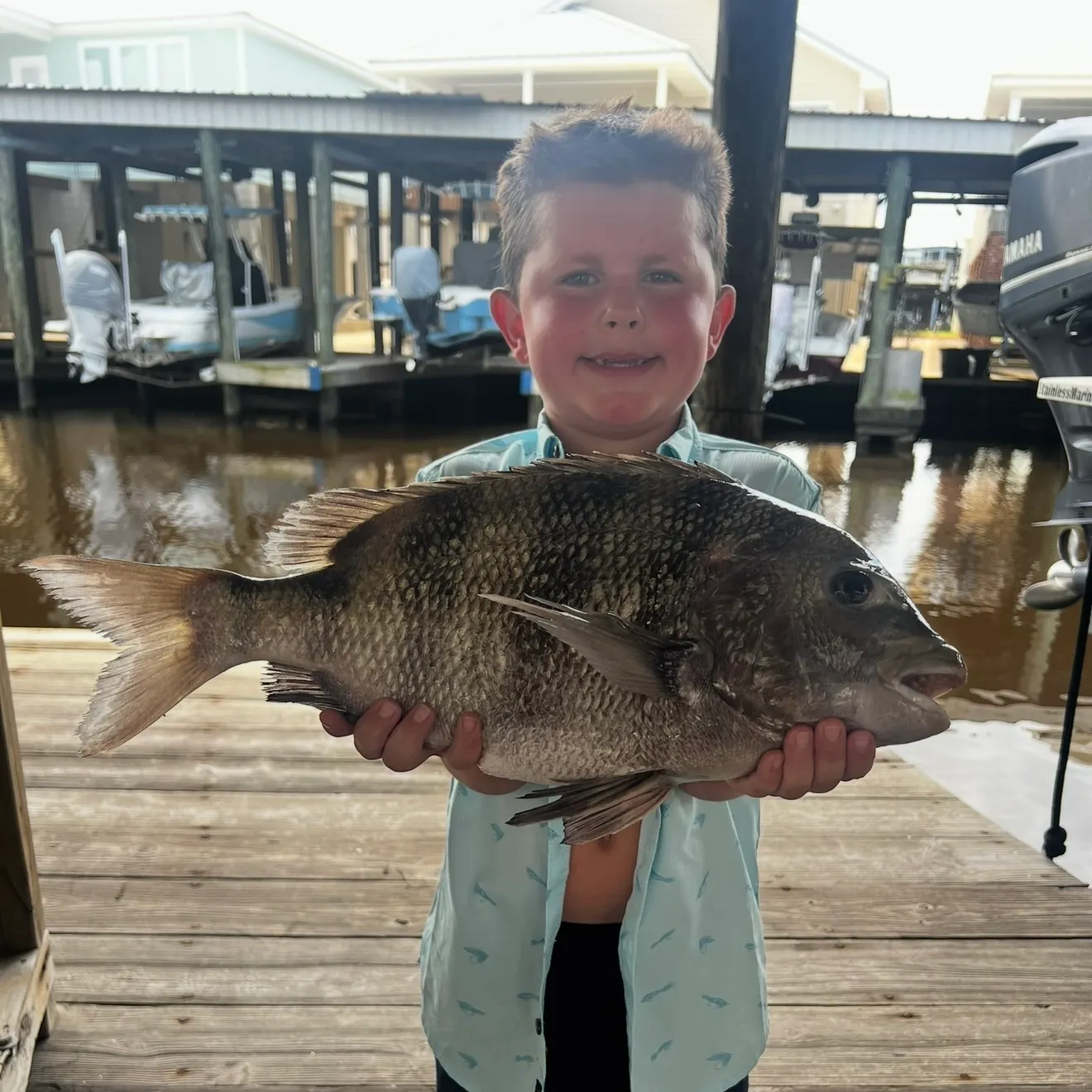The most recent Sheepshead catches on Fishbrain