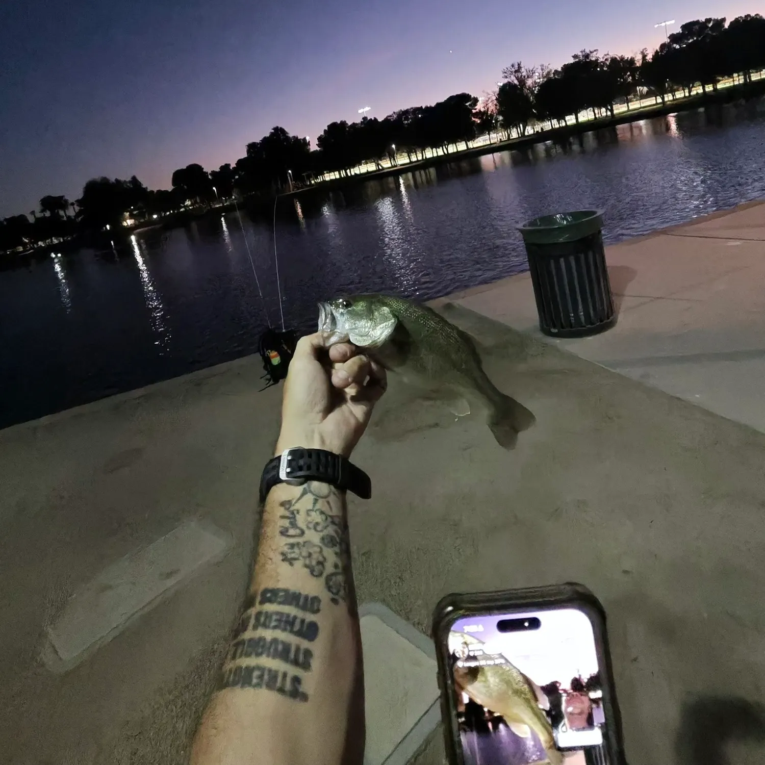 Largemouth bass caught on Fishbrain