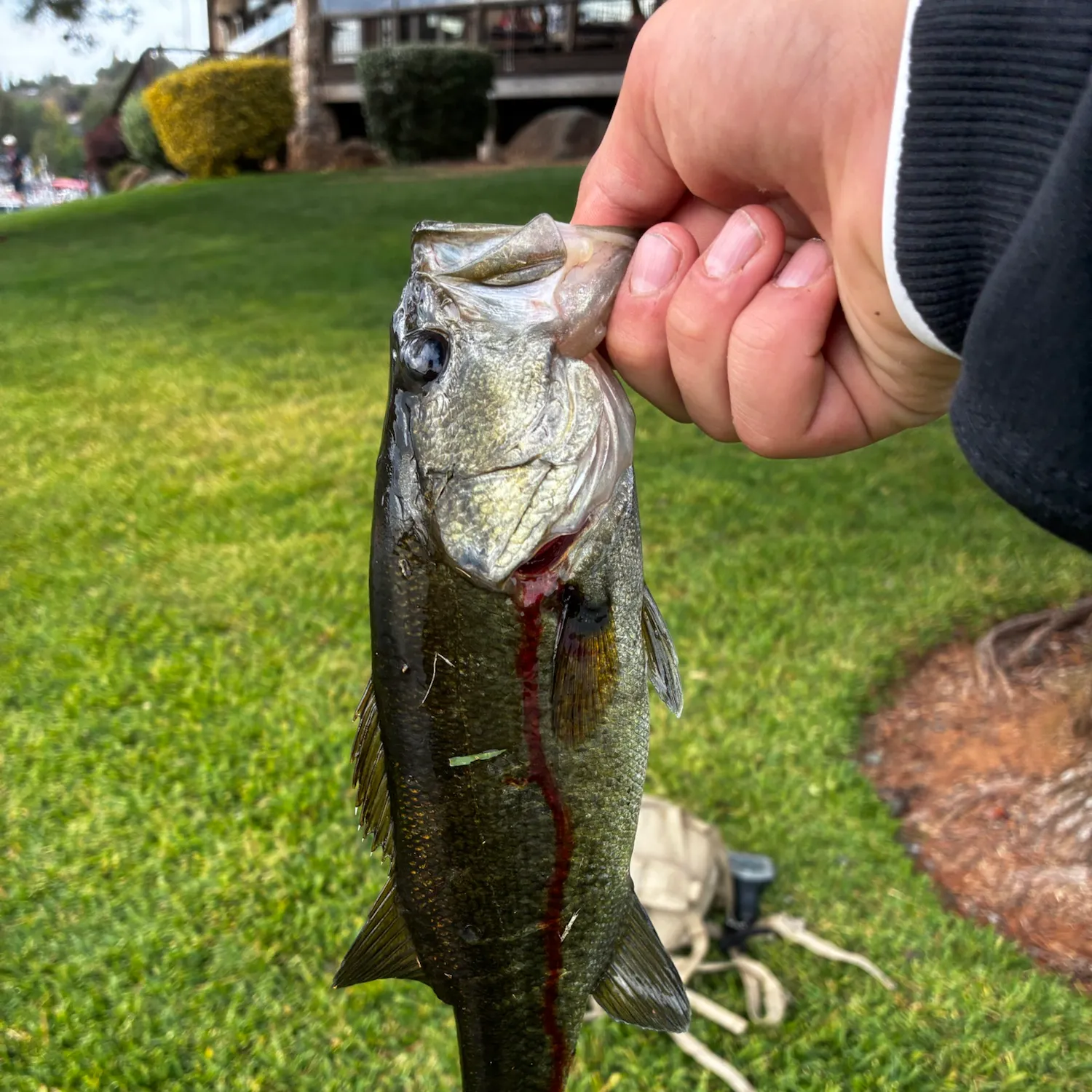 catch