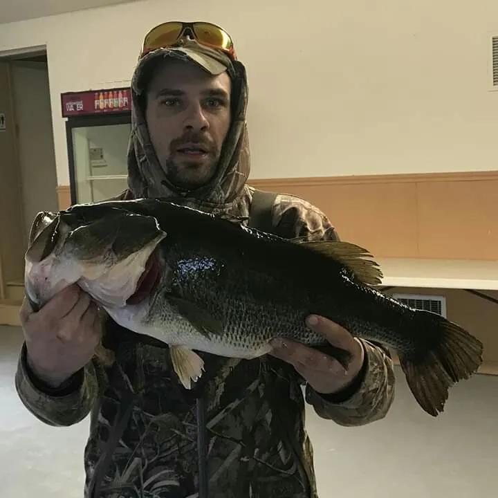 angler catch