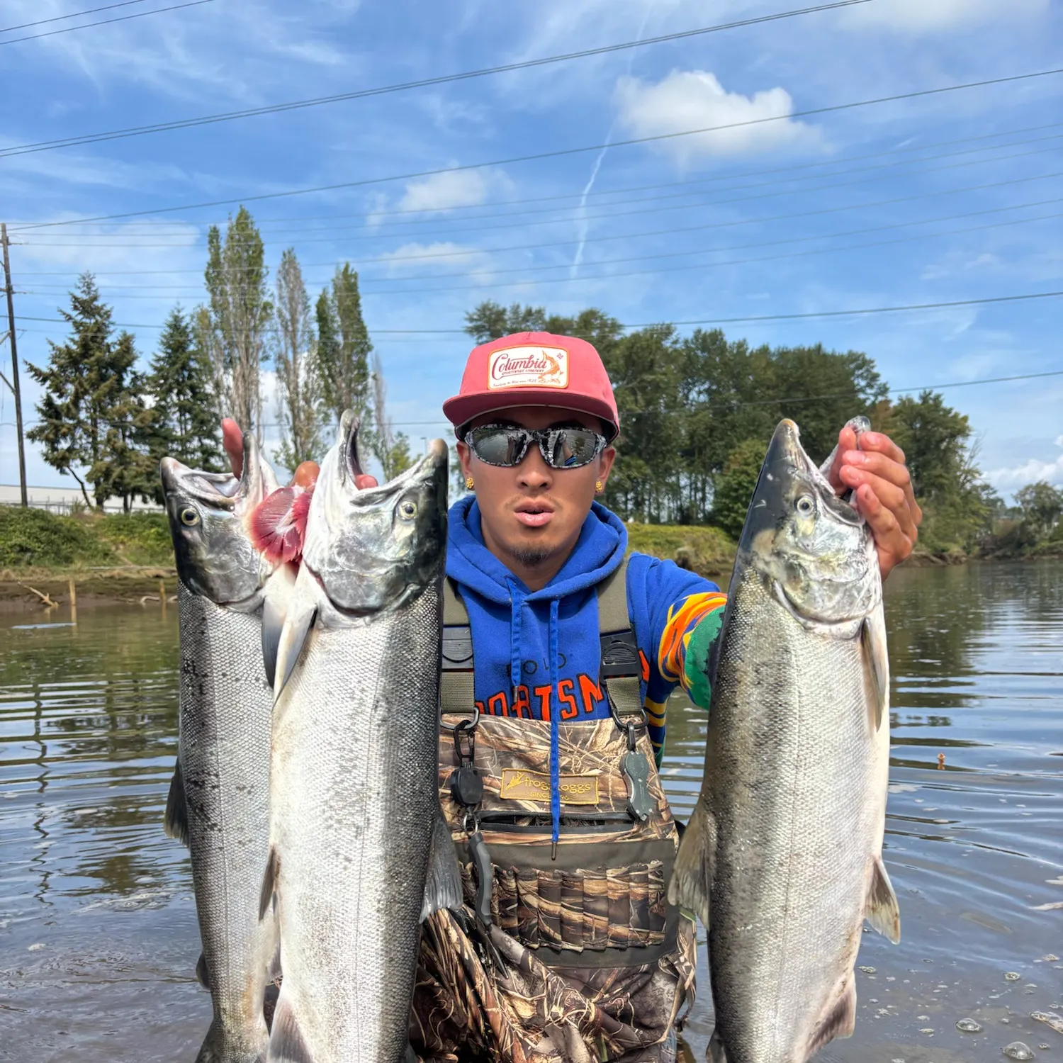 Coho salmon caught on Fishbrain