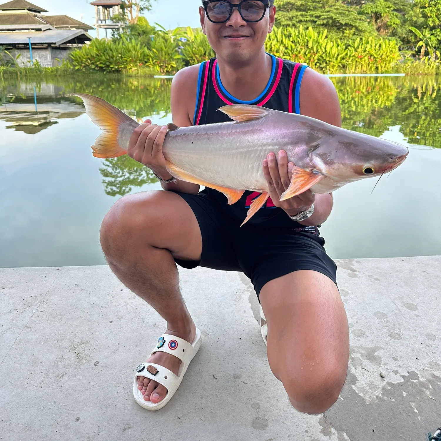 most liked catch image