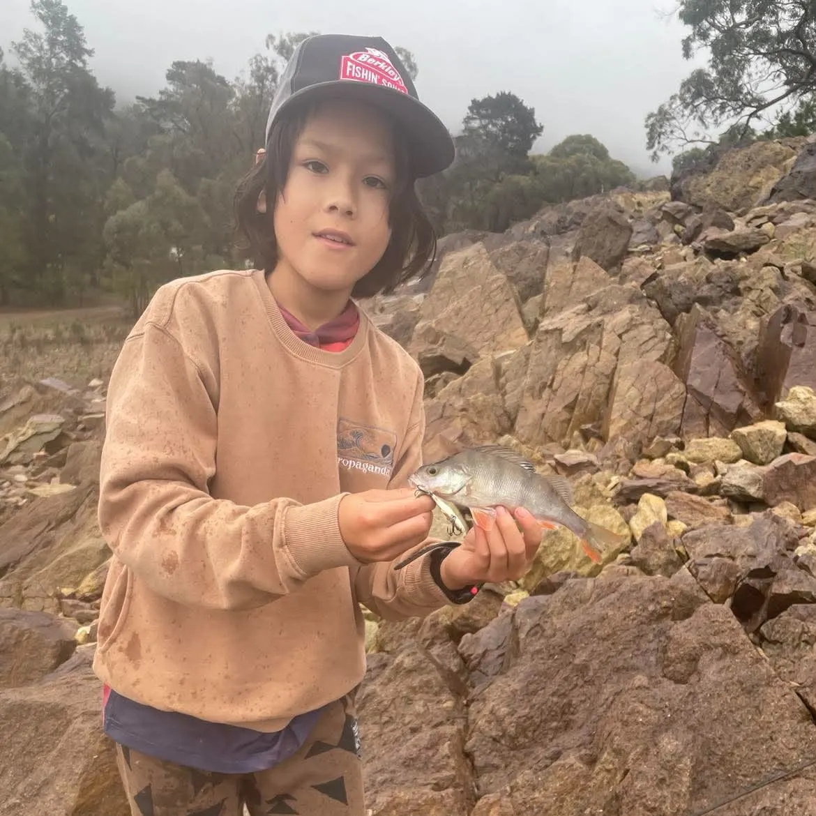 European perch caught on Fishbrain