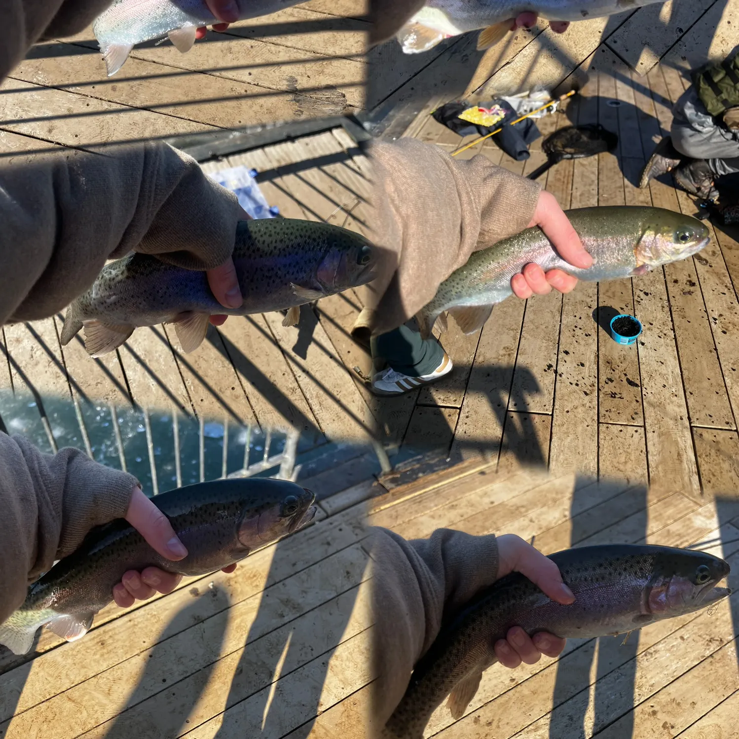 recently logged catches