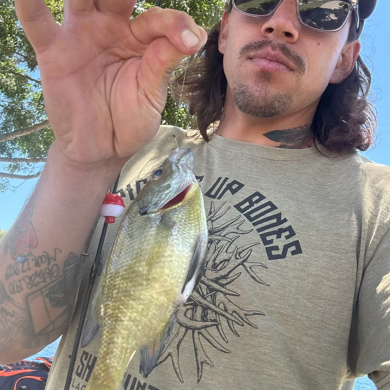 recently logged catches