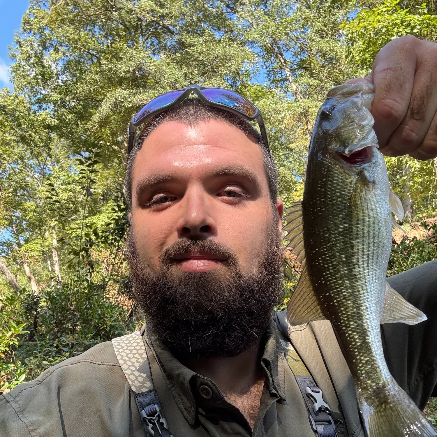 The most recent Chattahoochee bass catches on Fishbrain