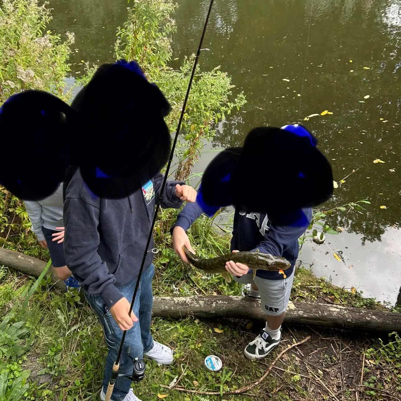 Northern pike caught on Fishbrain
