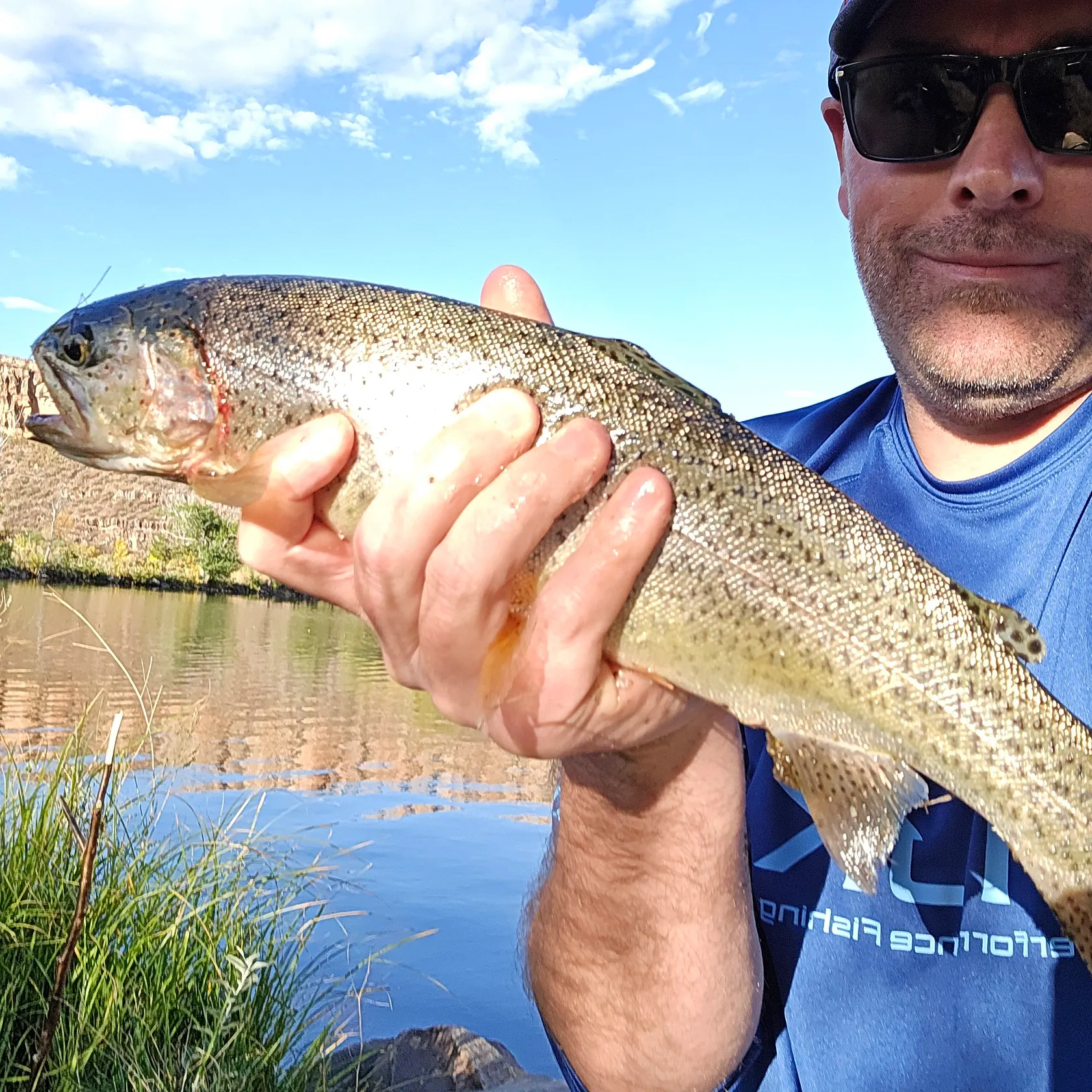Rainbow trout caught on Fishbrain