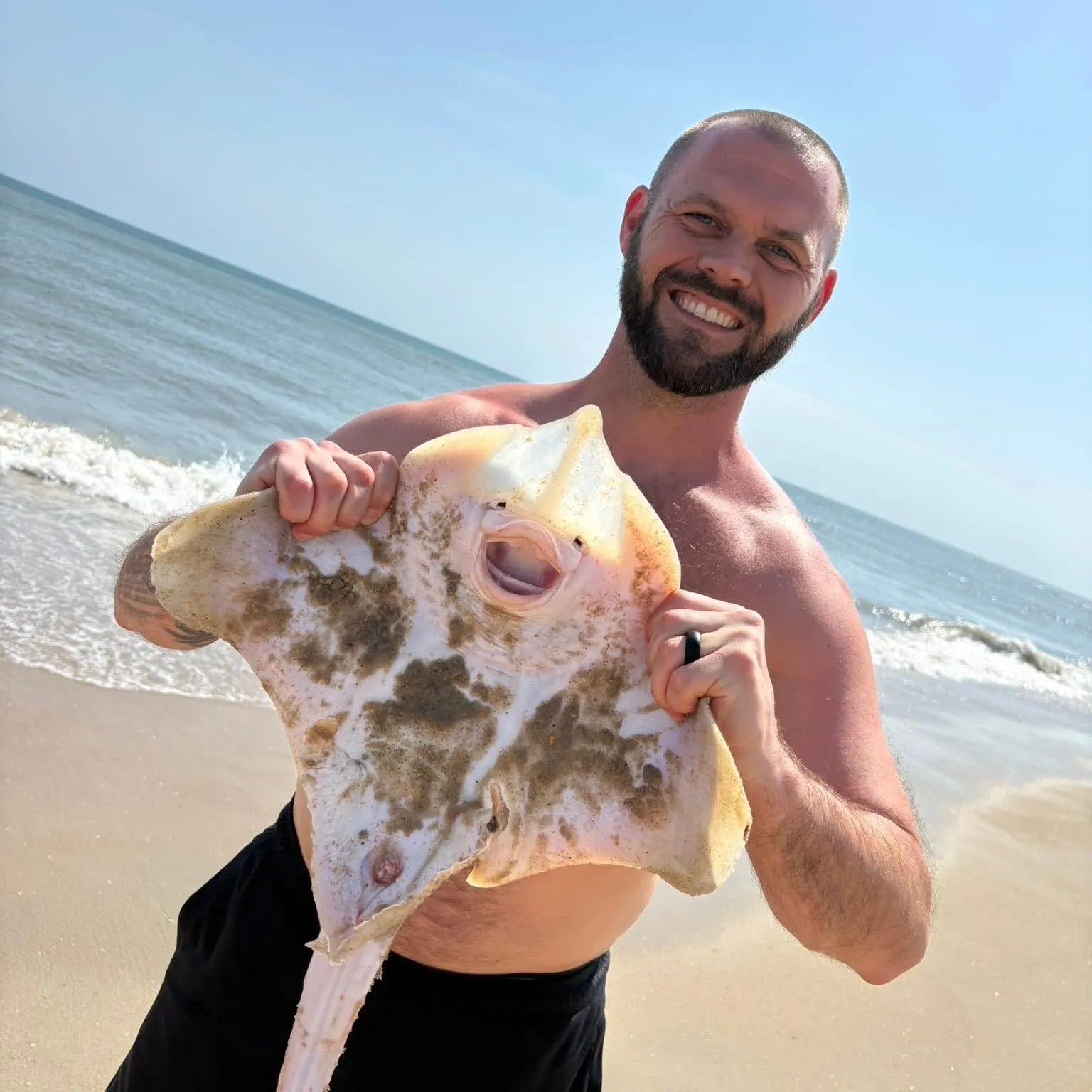 The most recent Clearnose skate catches on Fishbrain