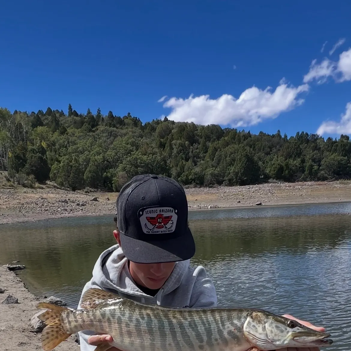 Tiger muskie caught on Fishbrain