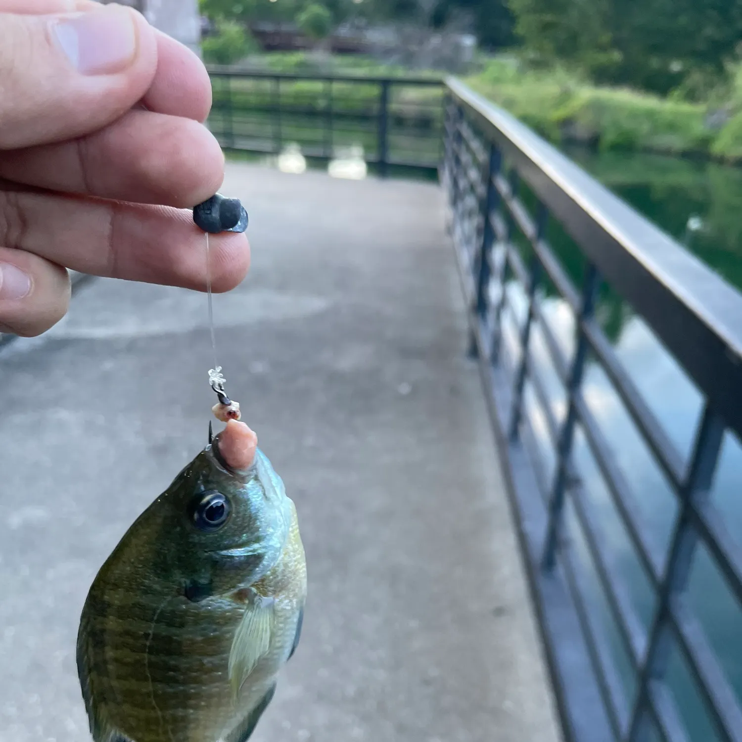 catch