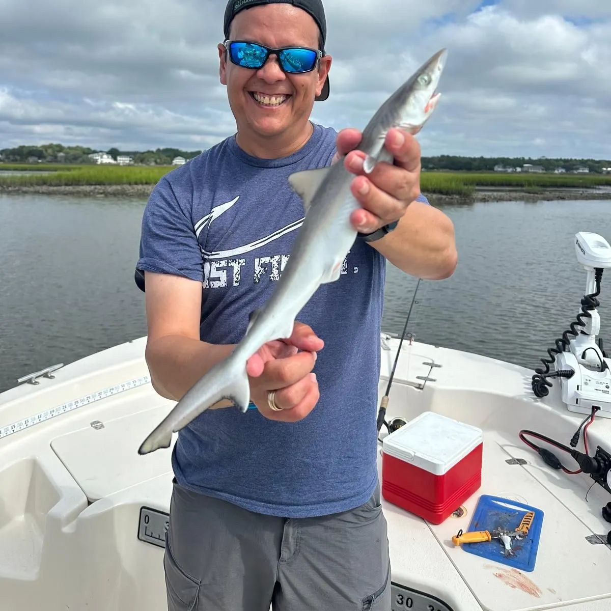 Atlantic sharpnose shark caught on Fishbrain