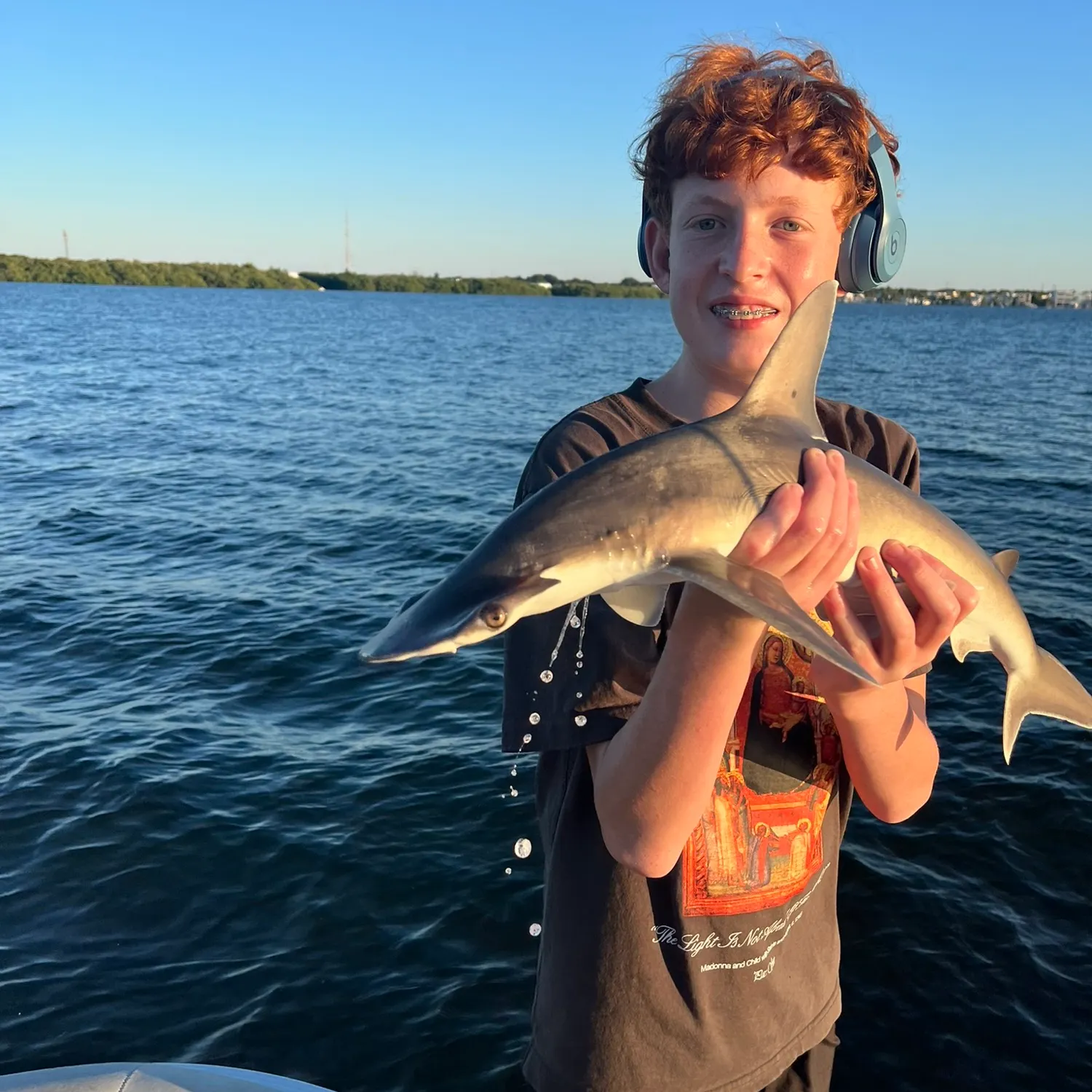 The most recent Bonnethead shark catches on Fishbrain