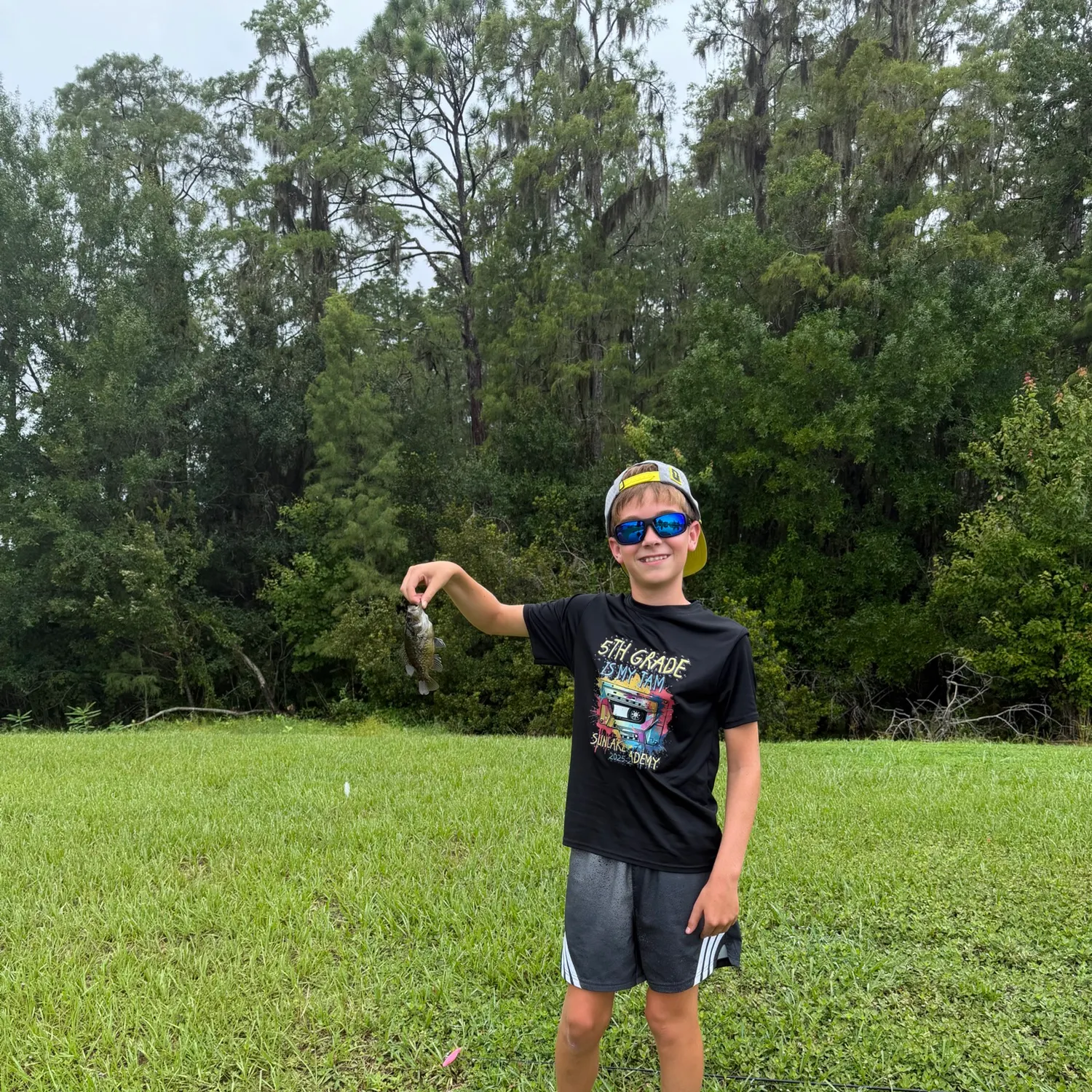 The most recent Warmouth catches on Fishbrain