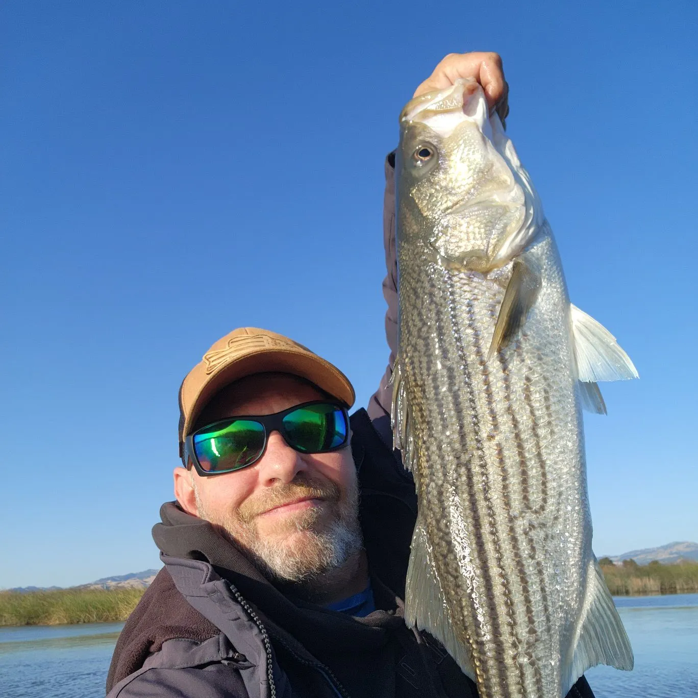 The most recent Striped bass catches on Fishbrain