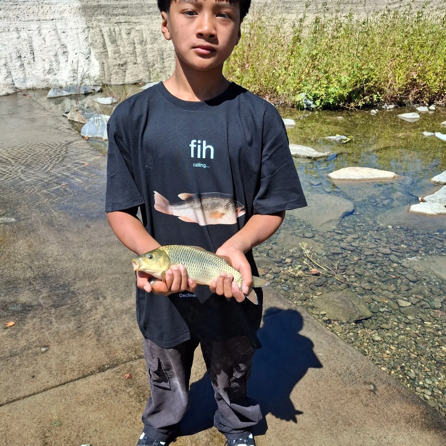 Common carp caught on Fishbrain