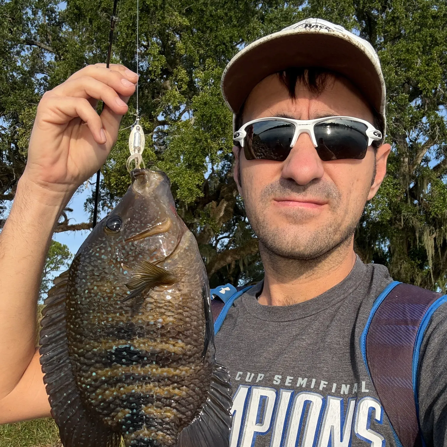 Rio Grande cichlid caught on Fishbrain