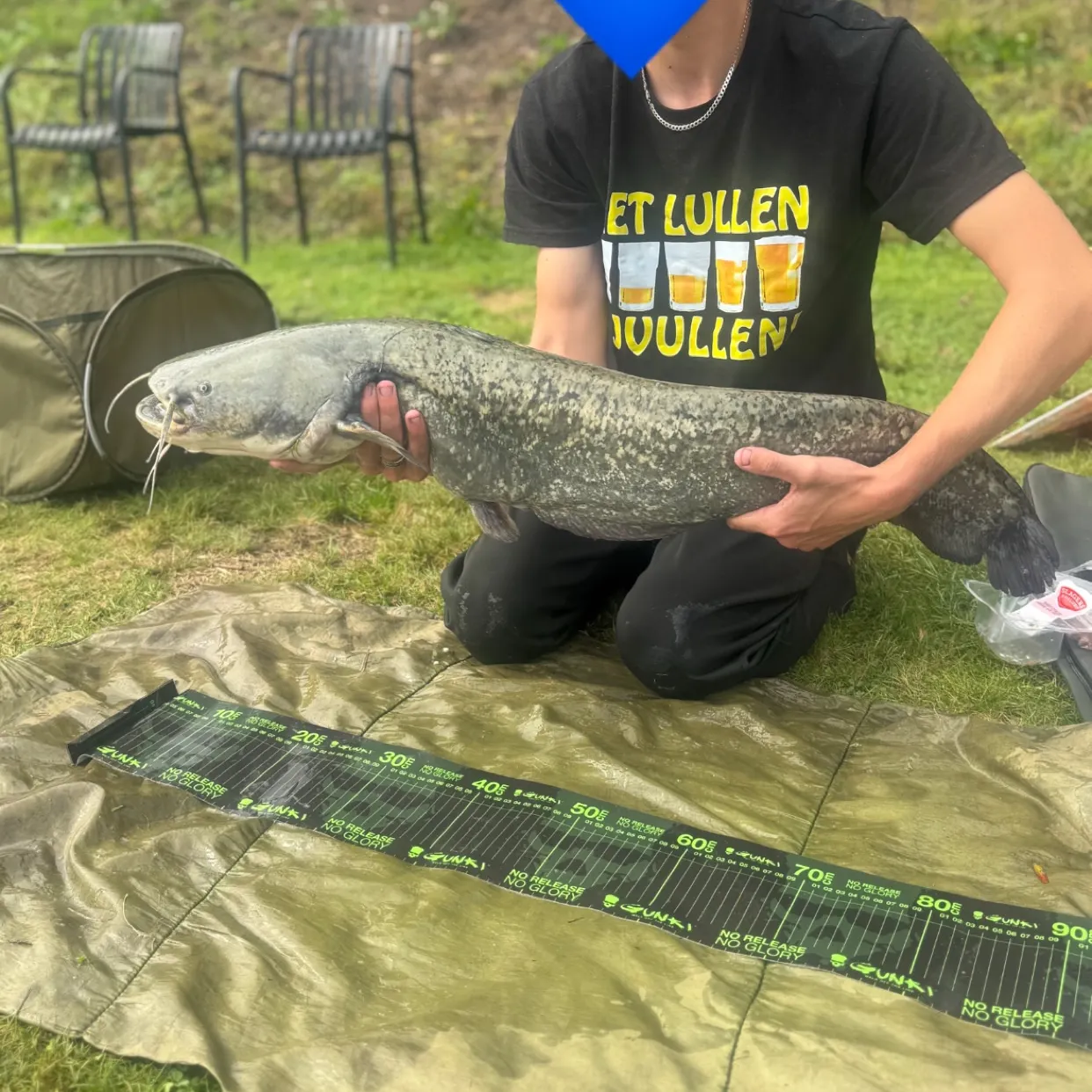 Wels catfish caught on Fishbrain