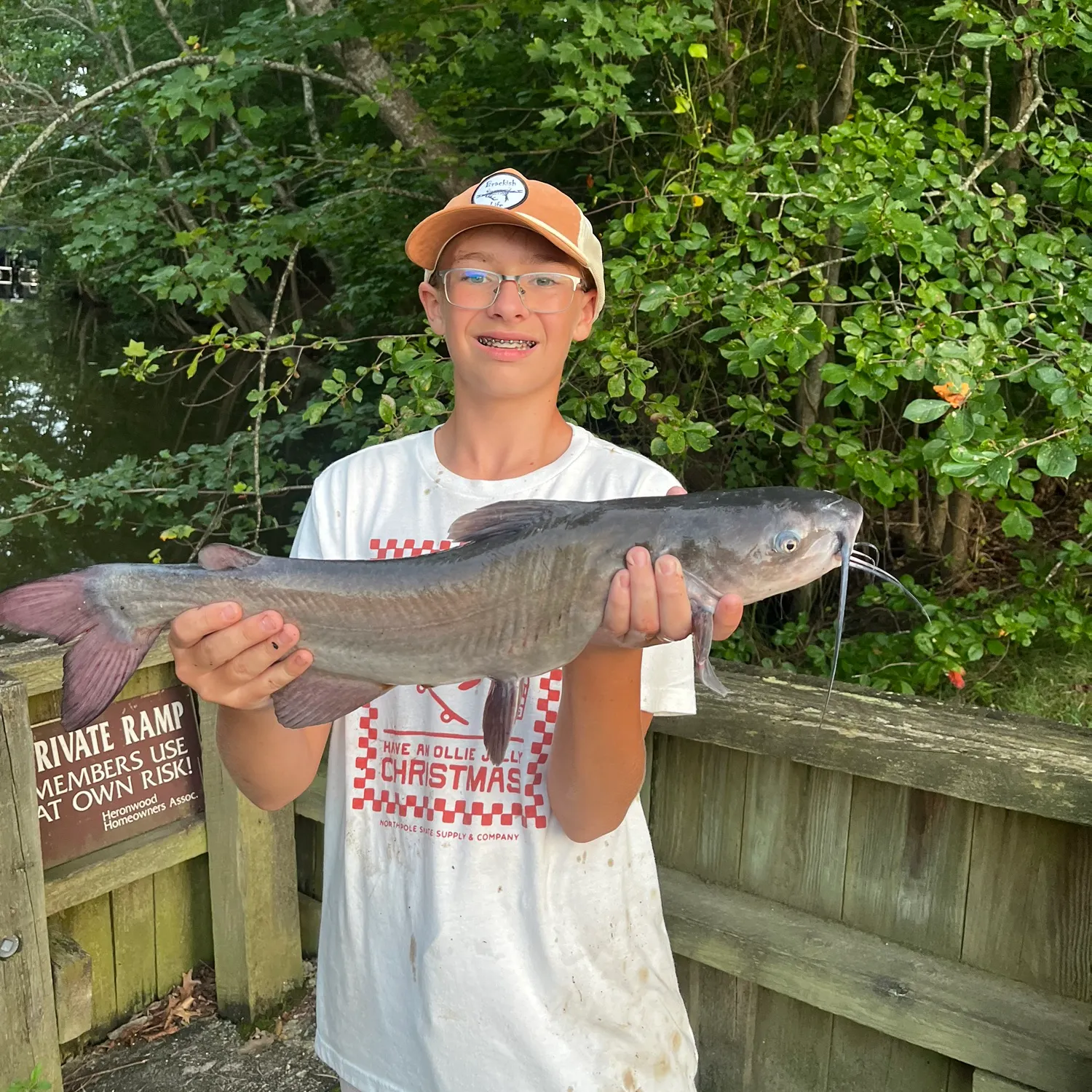 Channel catfish caught on Fishbrain