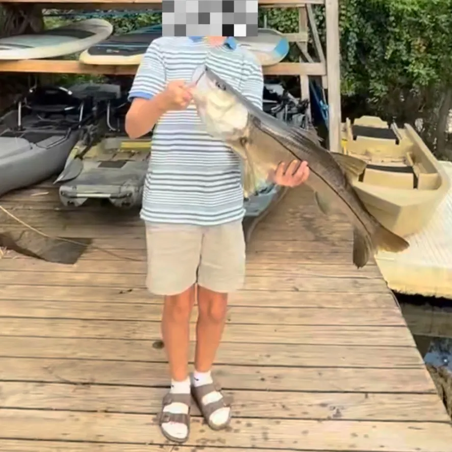 The most recent Atlantic thread herring catches on Fishbrain