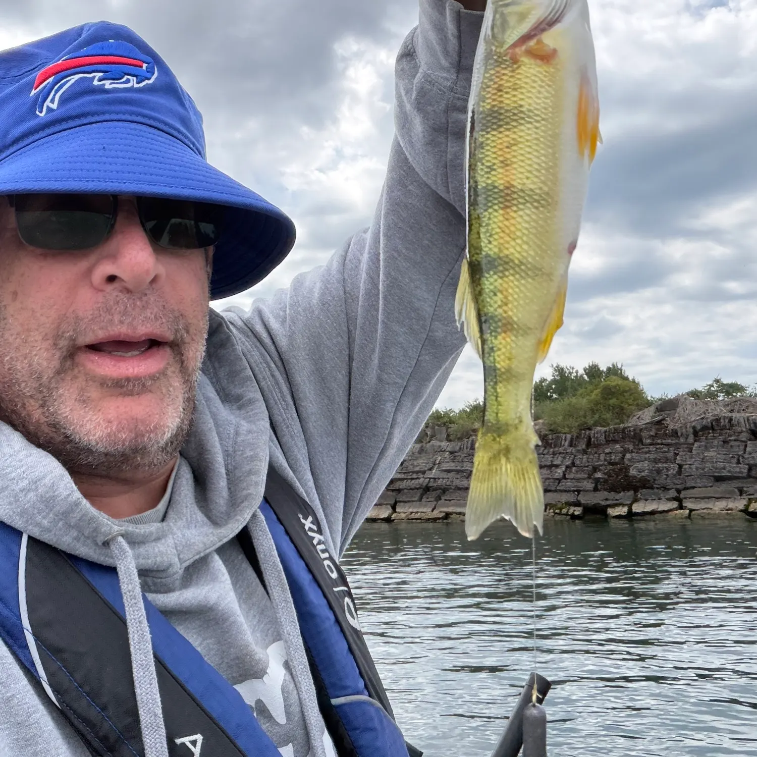 Yellow perch caught on Fishbrain