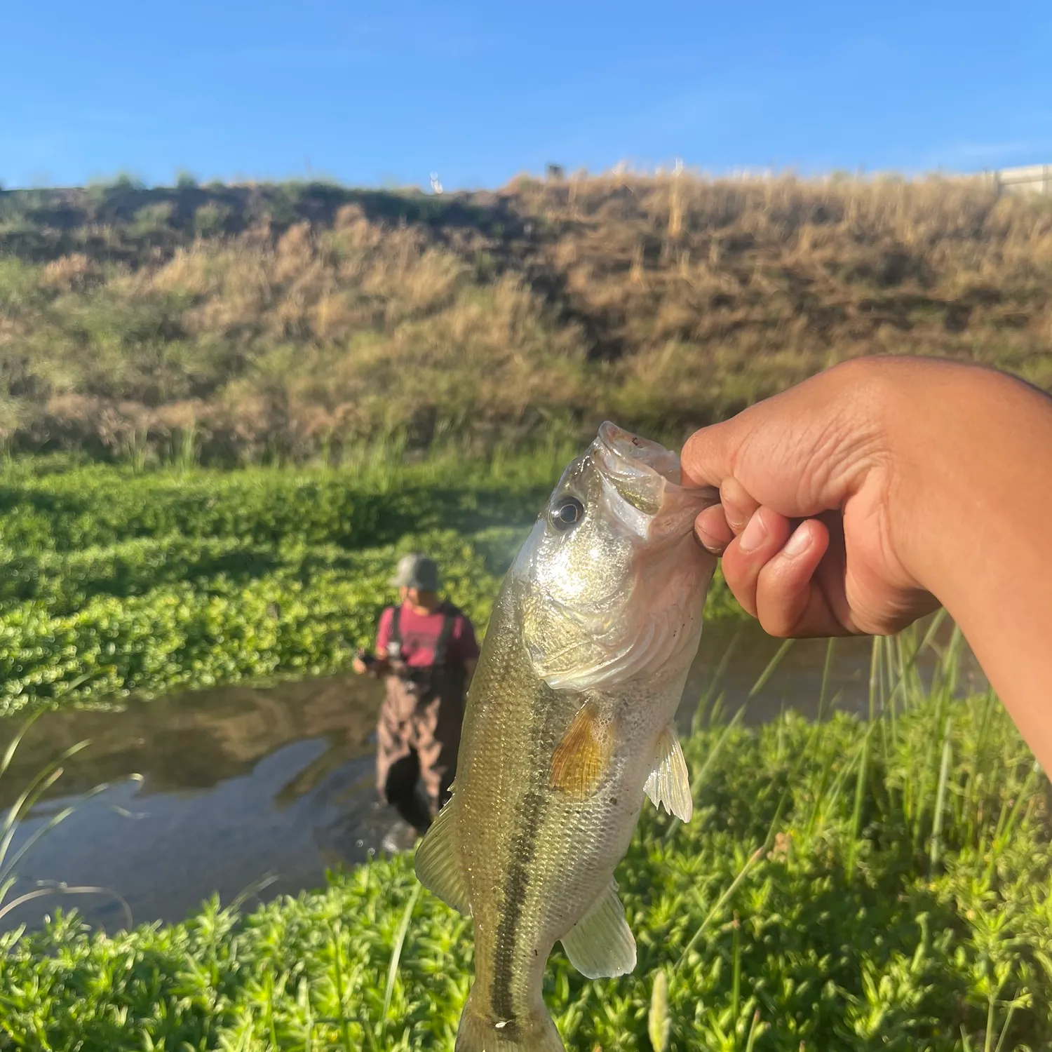catch