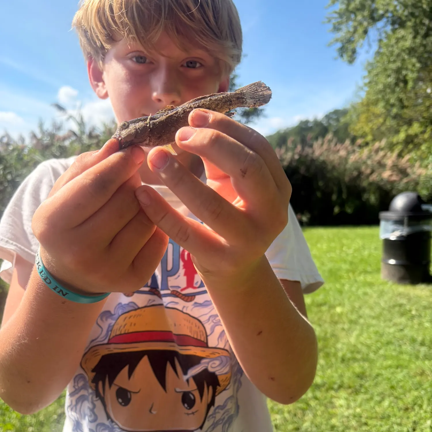 Round goby caught on Fishbrain