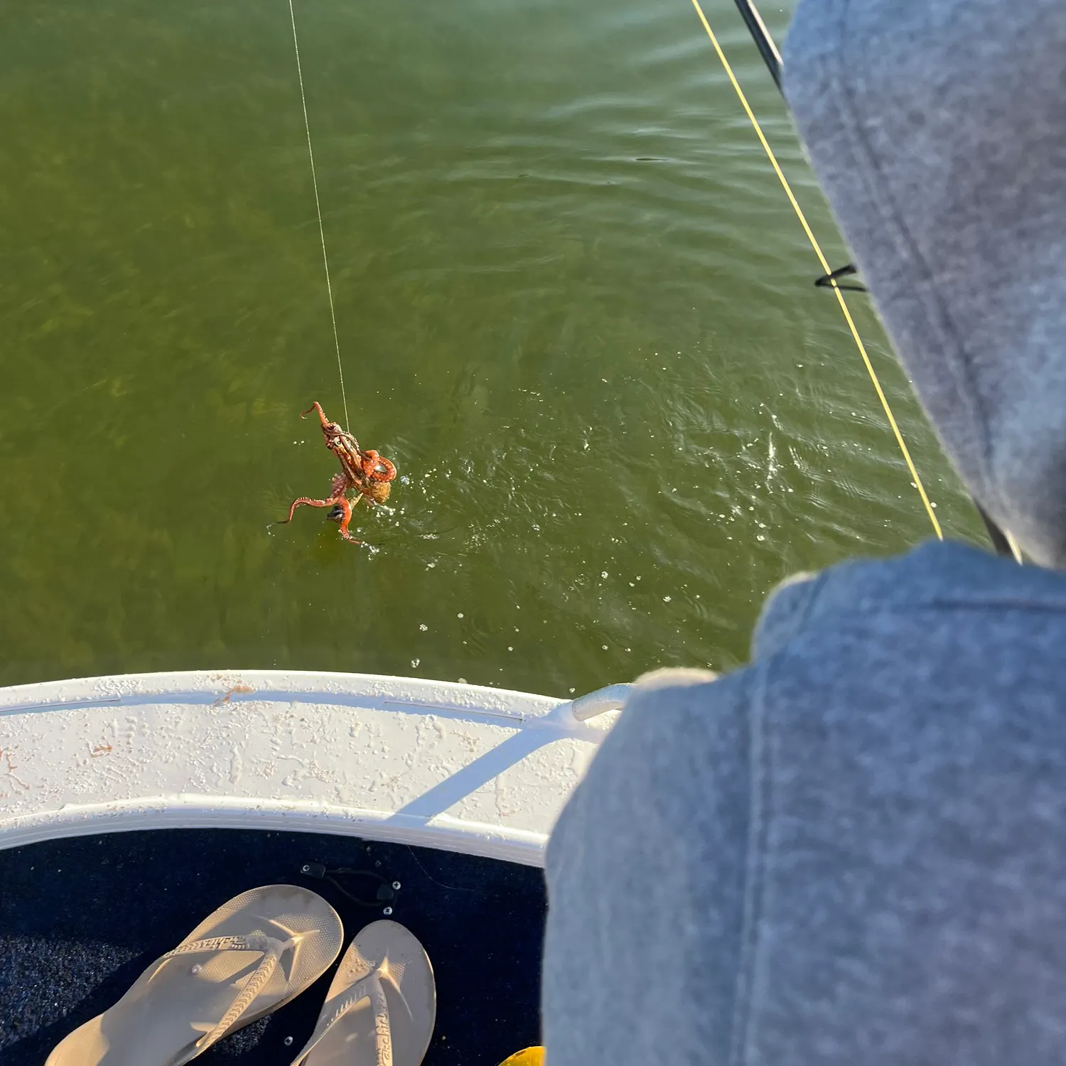 most liked catch image
