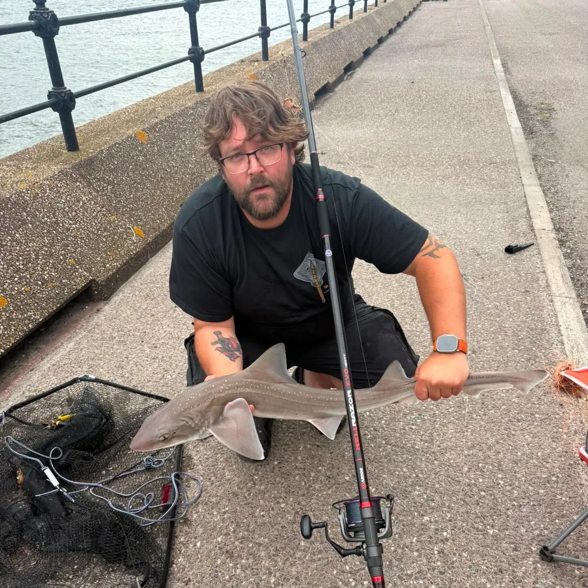 The most recent Starry smooth-hound catches on Fishbrain