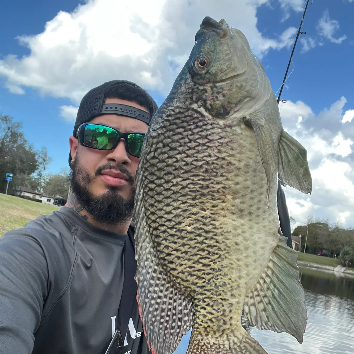 Blue tilapia caught on Fishbrain