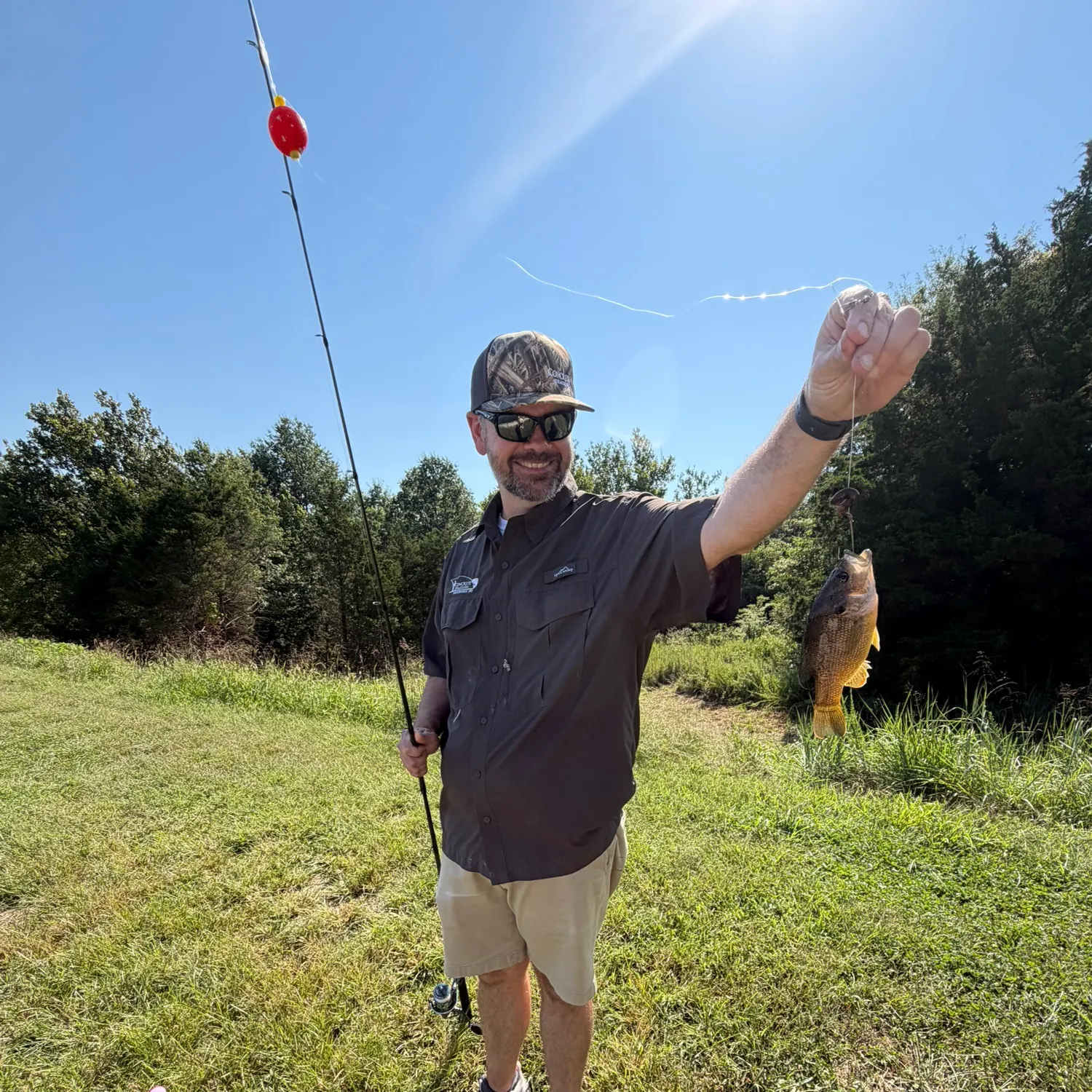 Bluegill caught on Fishbrain