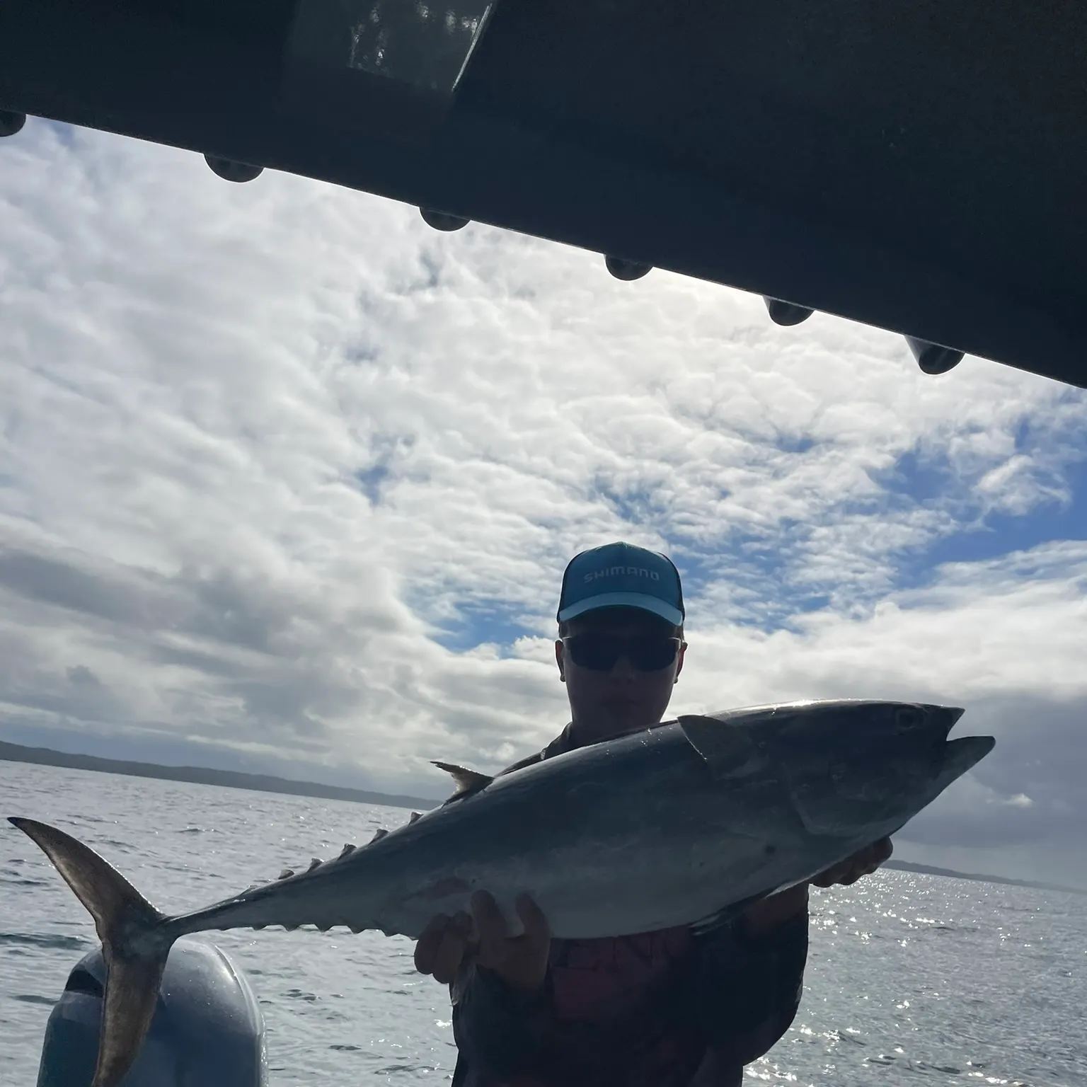 The most recent Longtail tuna catches on Fishbrain