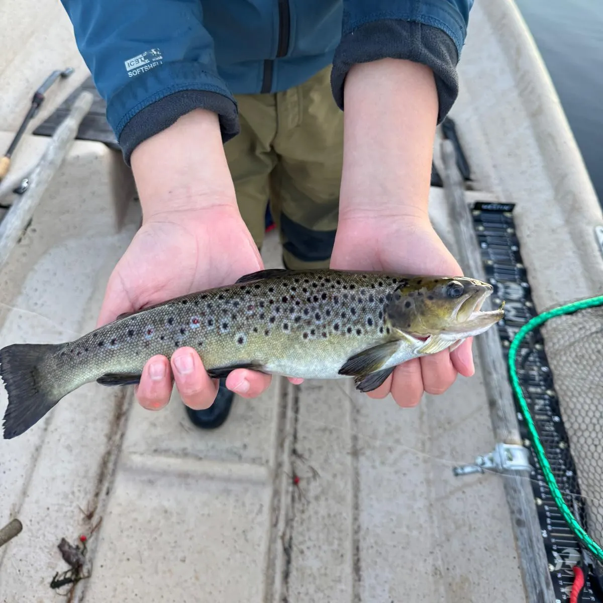 Lake trout caught on Fishbrain