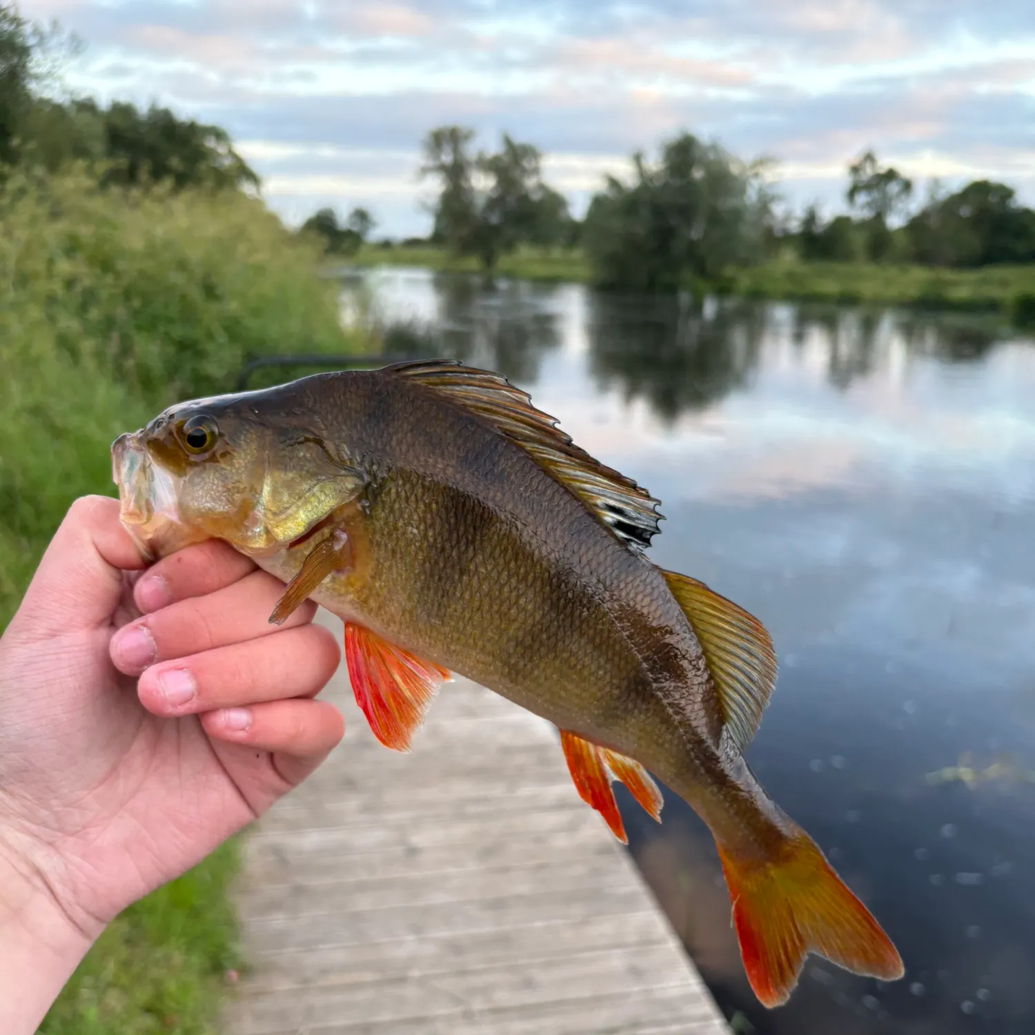 catch