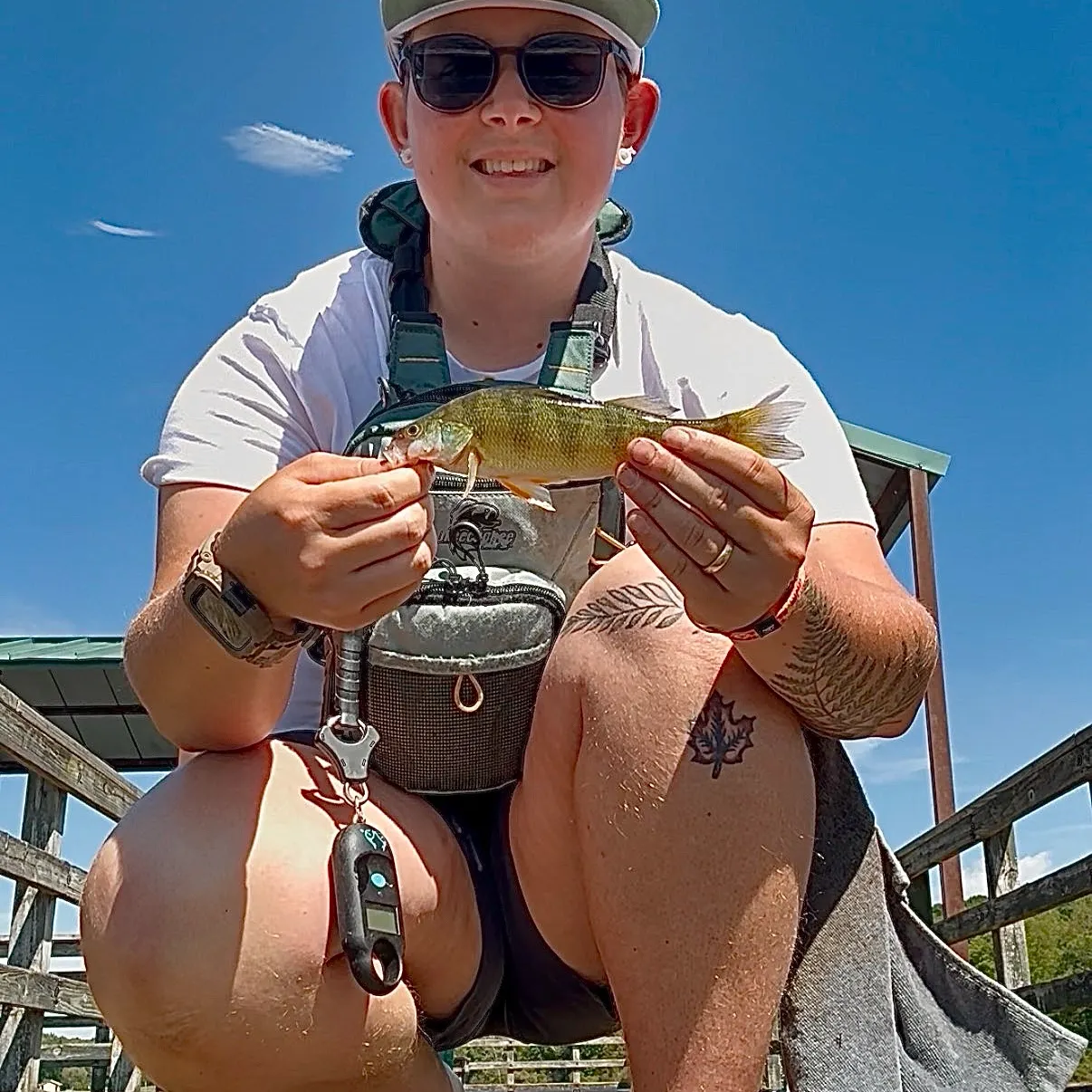 Yellow perch caught on Fishbrain