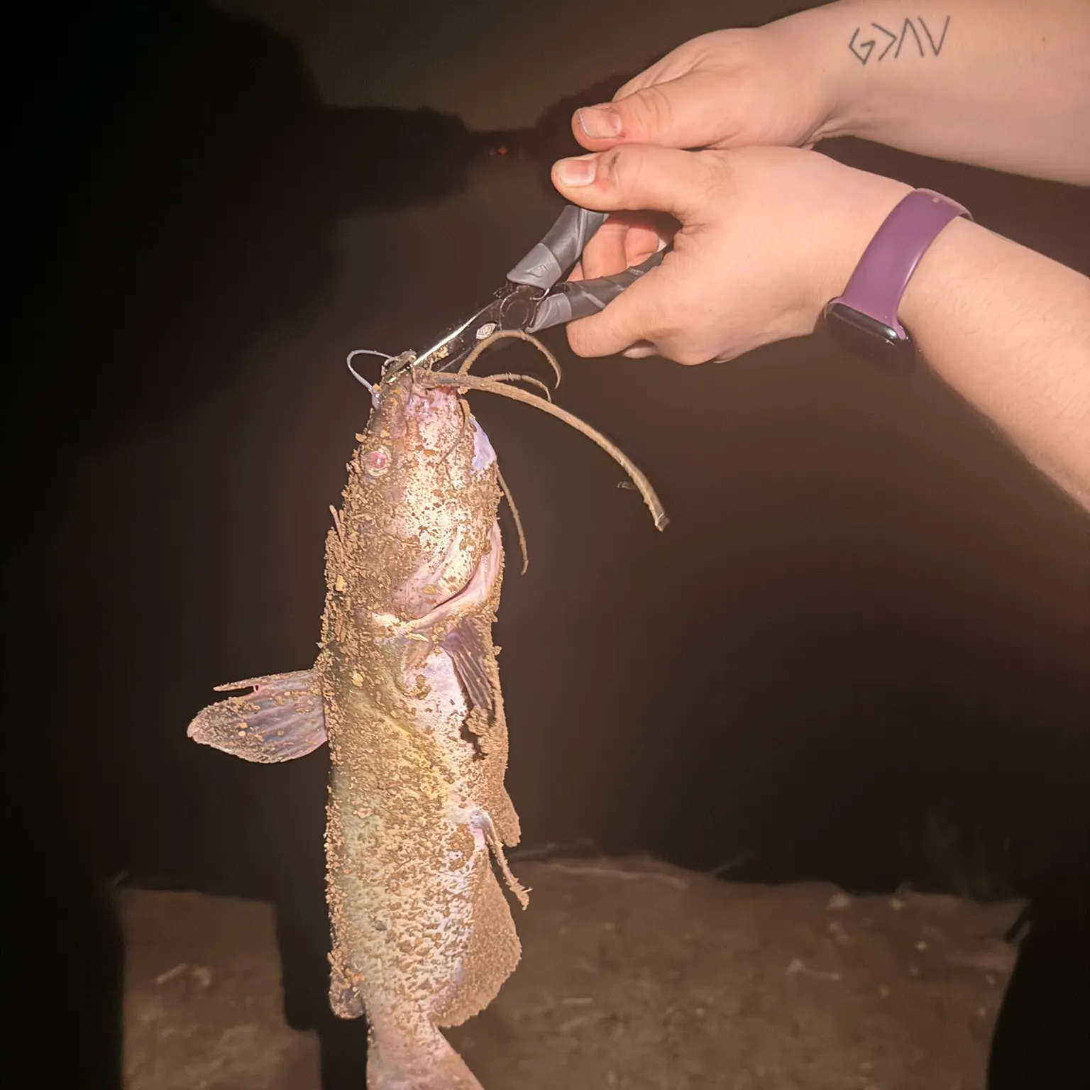 catch