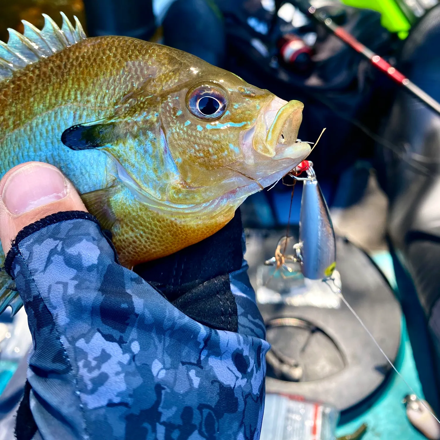 catch