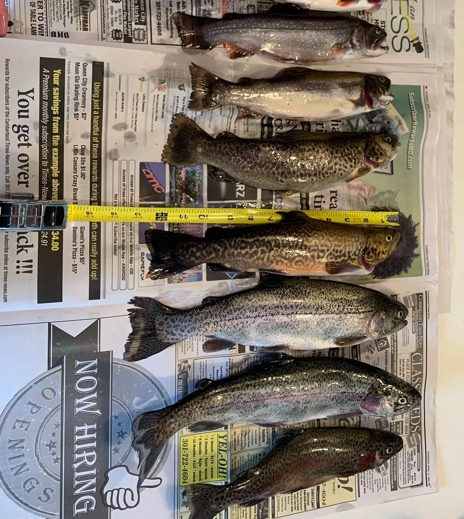 recently logged catches