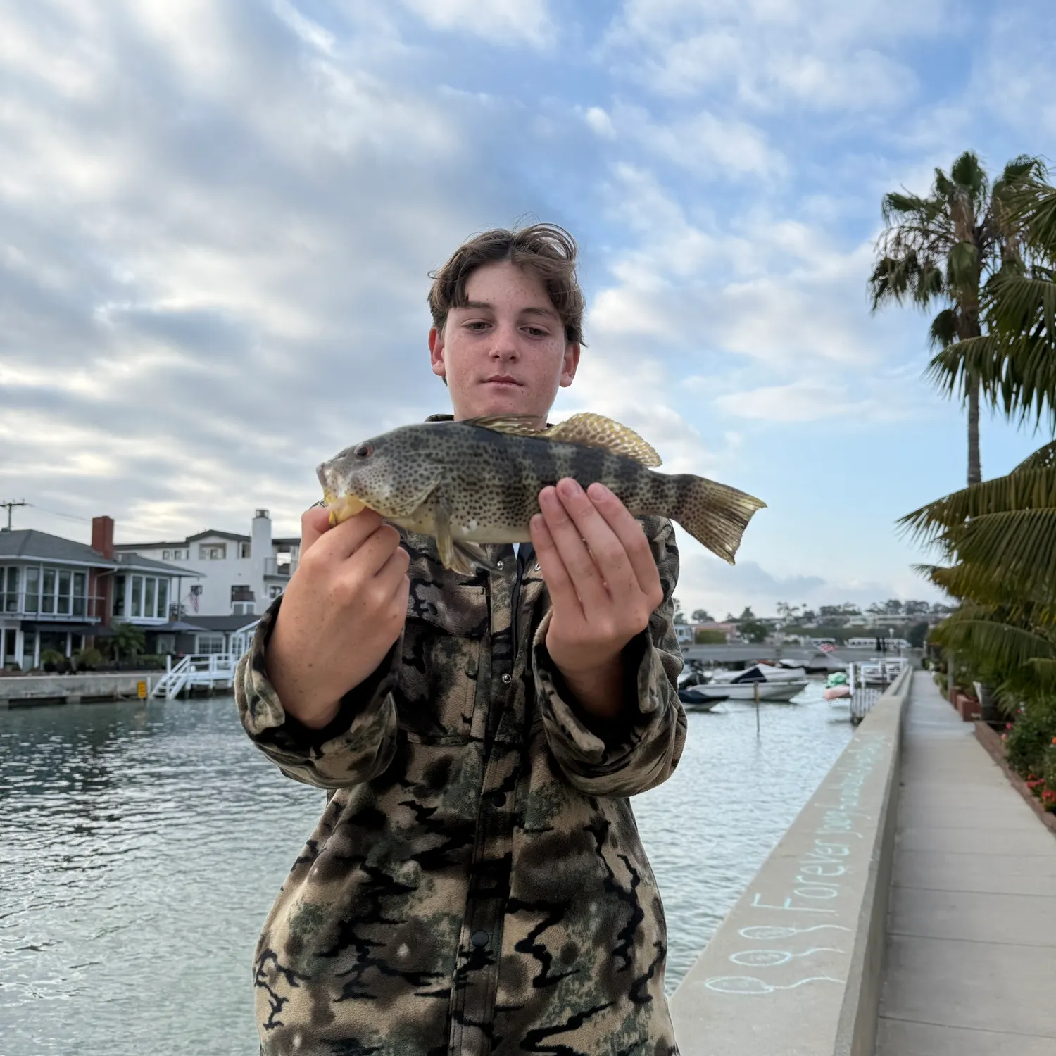 recently logged catches