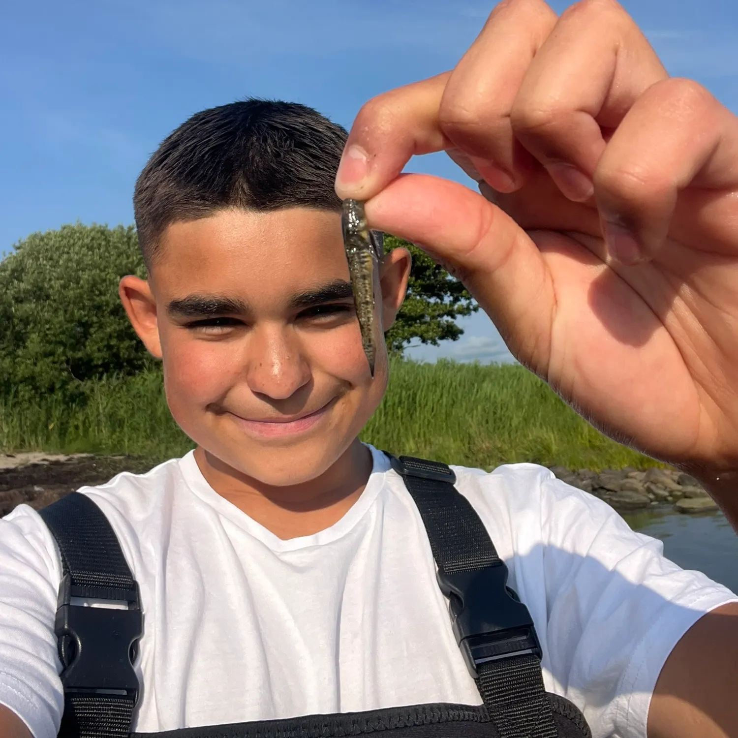 The most recent Painted goby catches on Fishbrain
