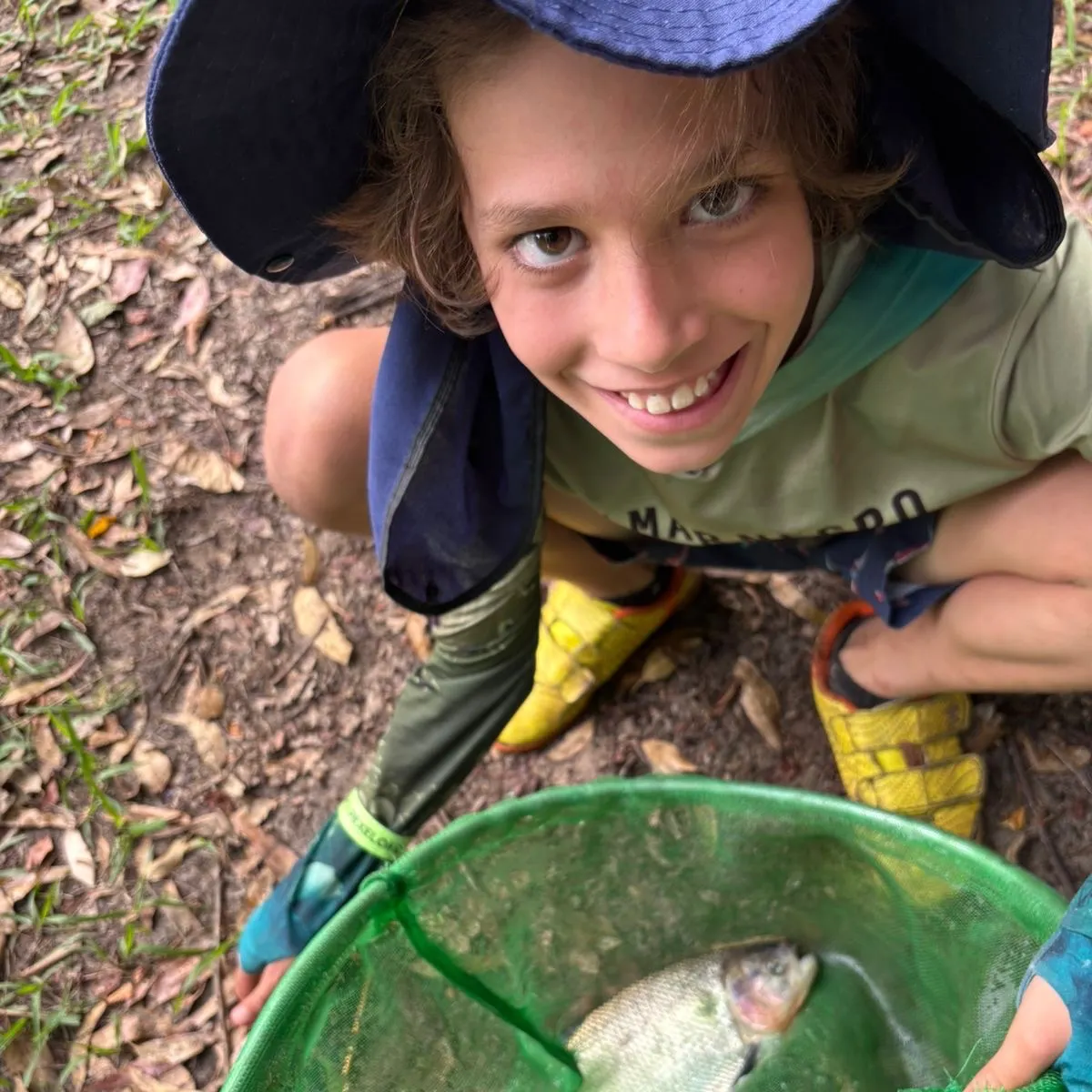 Matrichan caught on Fishbrain