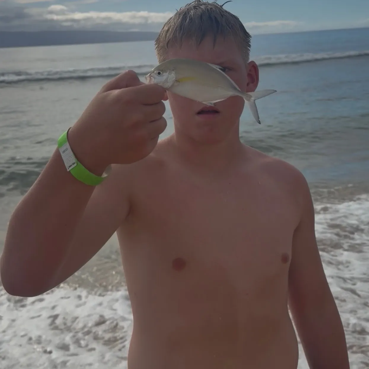 The most recent Brownback trevally catches on Fishbrain