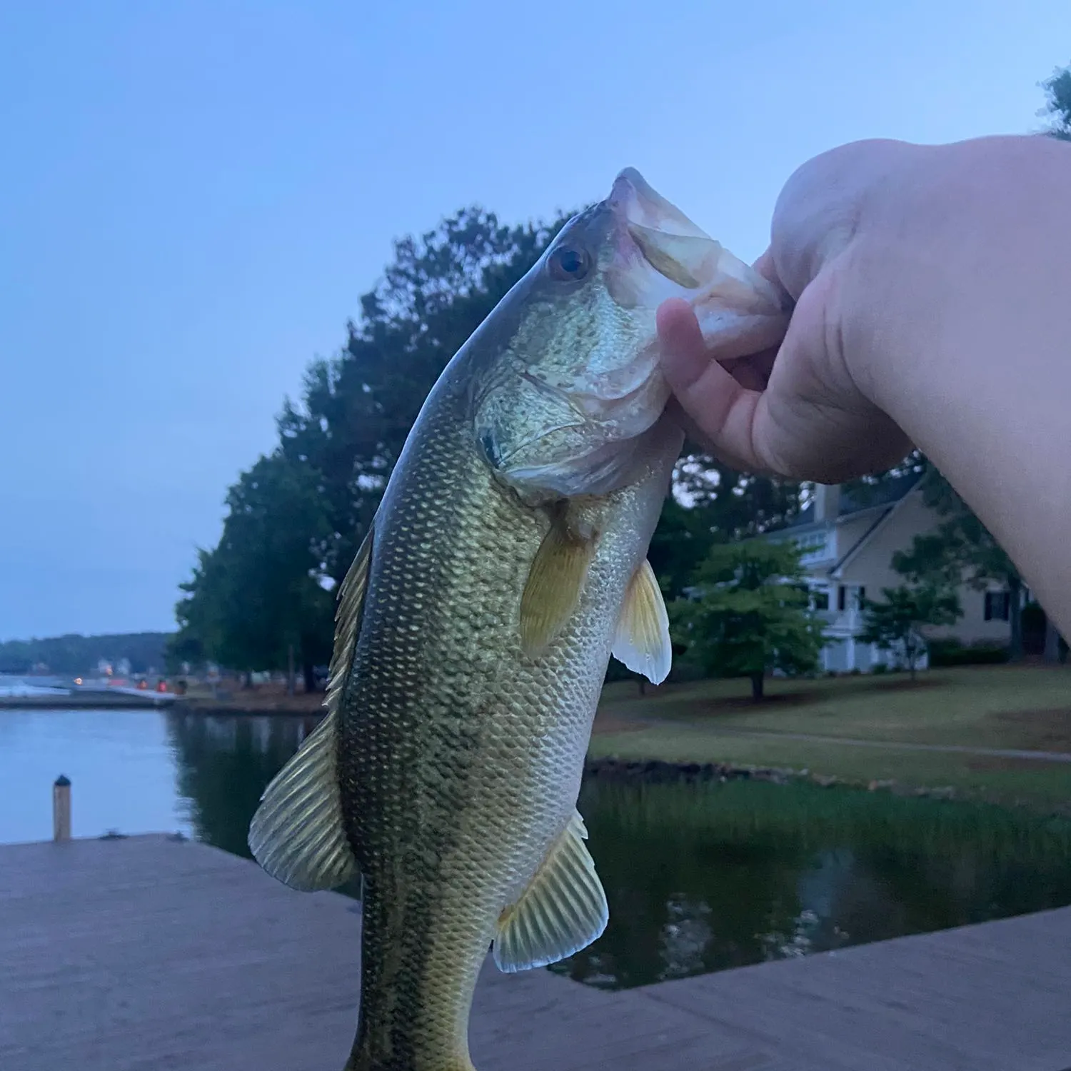 angler catch