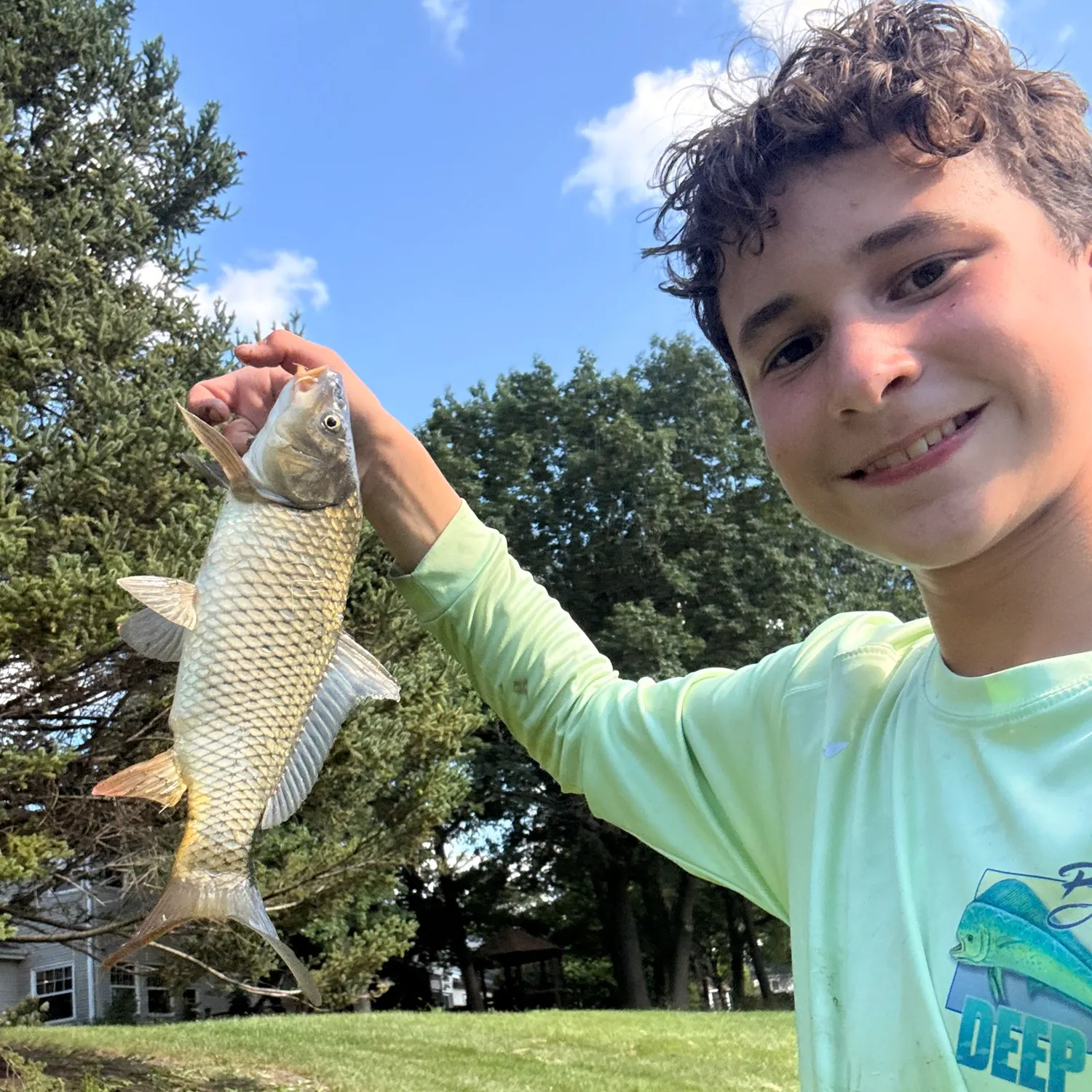 Common carp caught on Fishbrain