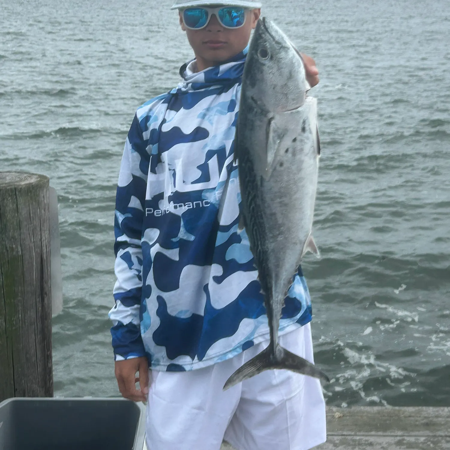 Atlantic bonito caught on Fishbrain