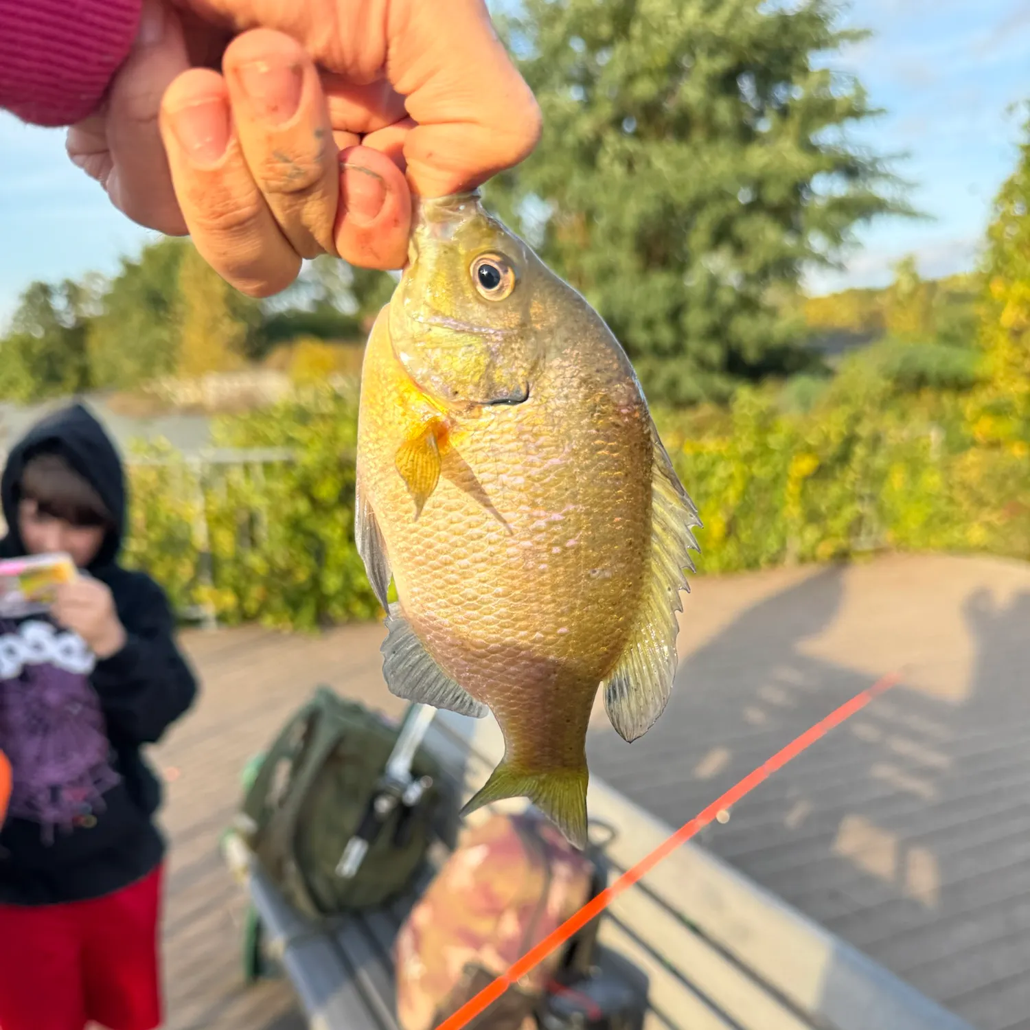 catch